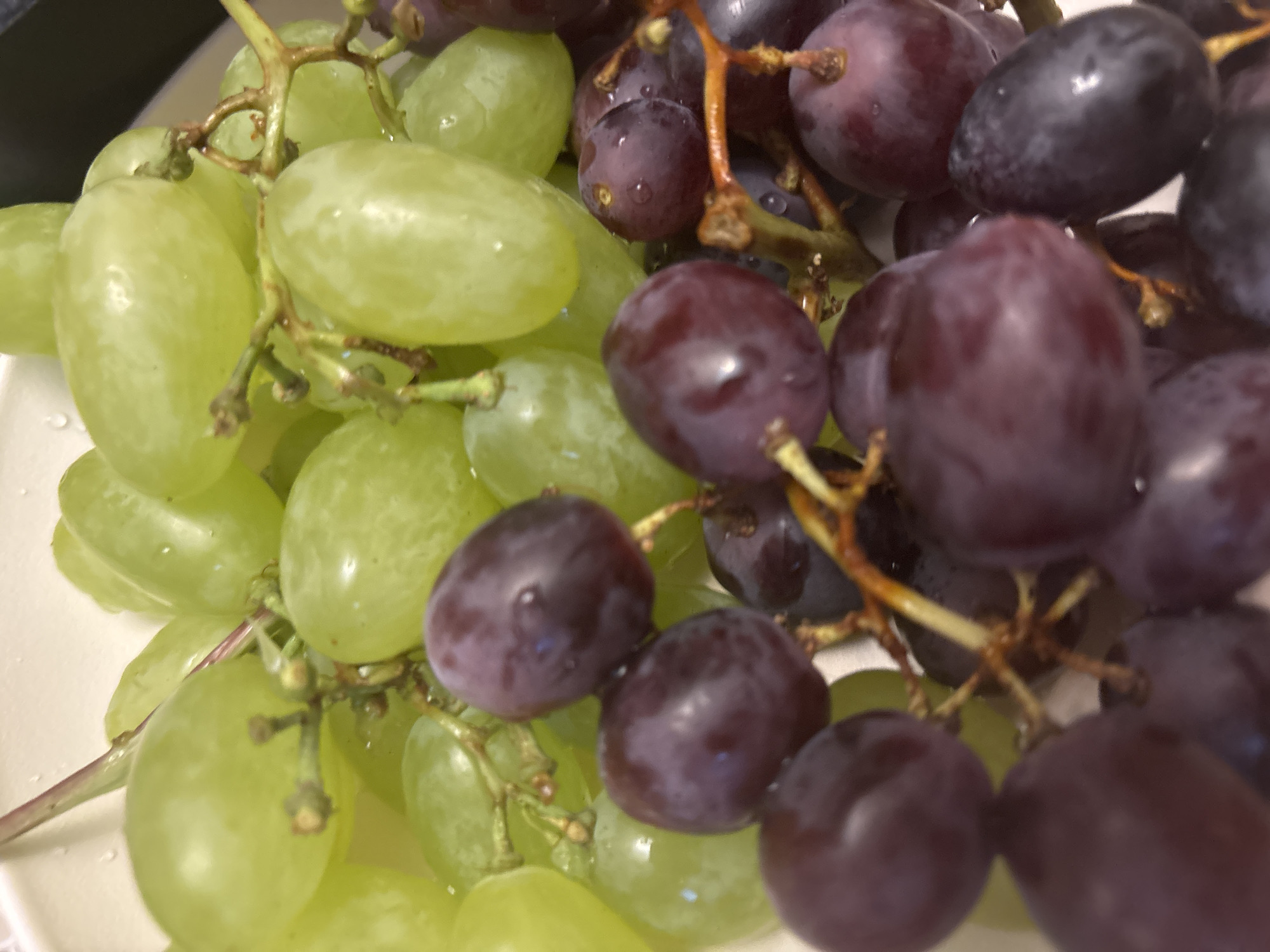 The image displays a close-up view of a bowl of grapes, with a distinct division between green and purple varieties. The green grapes are positioned in the upper portion of the frame, while the purple grapes occupy the lower half. Both types of grapes appear fresh, with visible water droplets on their surfaces, suggesting they may have been recently washed. The lighting is even, casting soft shadows and highlighting the natural sheen of the fruit. The background is out of focus and appears to be a plain, light-colored surface, likely the interior of the bowl. There are no people, animals, or other objects visible in the image. The scene is static and focused solely on the grapes. There is no information in the image to suggest any connection to Trudovets, Bulgaria.