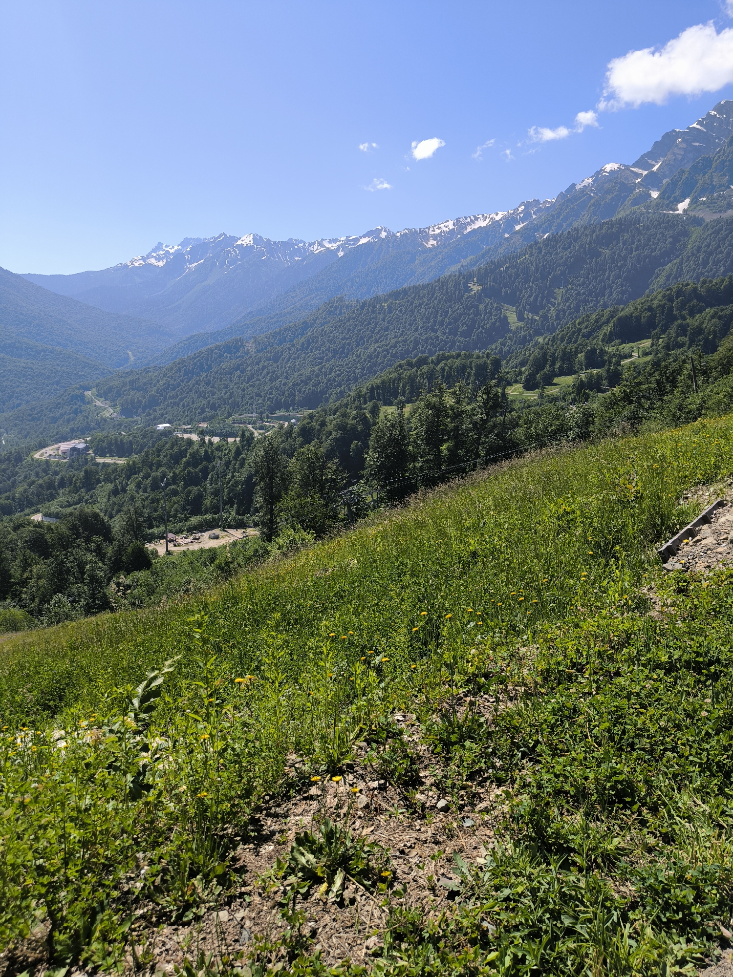 The image displays a panoramic view of a mountainous landscape on a clear day. In the foreground, a grassy slope with scattered yellow wildflowers and patches of dry earth leads the eye towards a valley. The valley is densely forested with lush green trees, interspersed with winding roads and several buildings, possibly a resort or town. Further in the background, a majestic mountain range rises, its peaks capped with snow and bathed in sunlight, contrasting with the verdant slopes below. The sky above is a vibrant blue with a few wispy white clouds. The overall scene evokes a sense of natural beauty and tranquility.