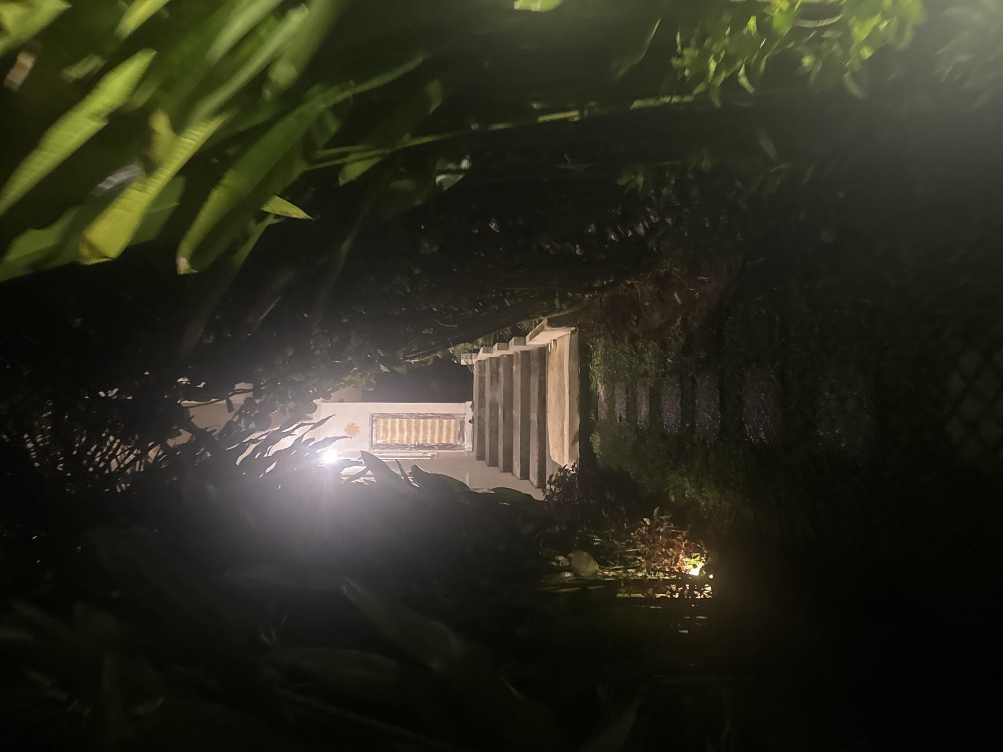 The image shows a path leading to a building at night, possibly located in Kuta Selatan, Indonesia. The path is framed by dense vegetation, including large-leafed plants in the foreground. The building is visible in the distance, featuring a series of vertical columns and a doorway. Artificial lighting illuminates the doorway and part of the path, creating a high contrast between the bright areas and the surrounding darkness. The architecture appears to be modern or contemporary. The path is slightly elevated and may consist of steps. A faint light is visible at the end of the path.