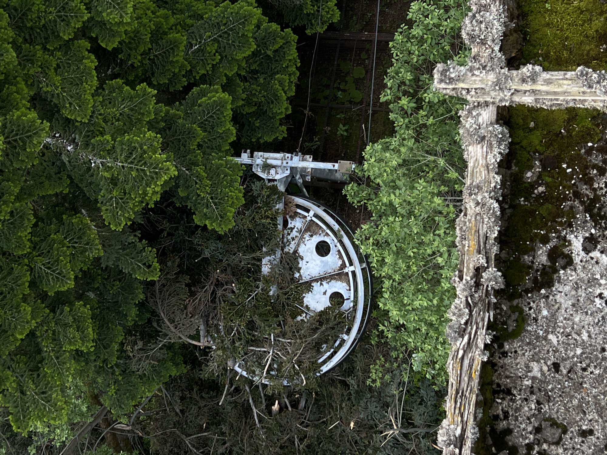 An aerial, eye-level shot captures a section of a ski lift pulley system overgrown with lush green foliage. The pulley, a circular metallic structure with two circular openings, is partially obscured by branches and leaves. A metallic support structure for the pulley extends upwards and to the right. In the foreground, a weathered wooden railing covered in moss and lichen borders a rough, grey concrete surface, also speckled with moss. The background reveals more dense greenery and a metal fence. The scene appears to be in a natural, possibly abandoned, setting.
