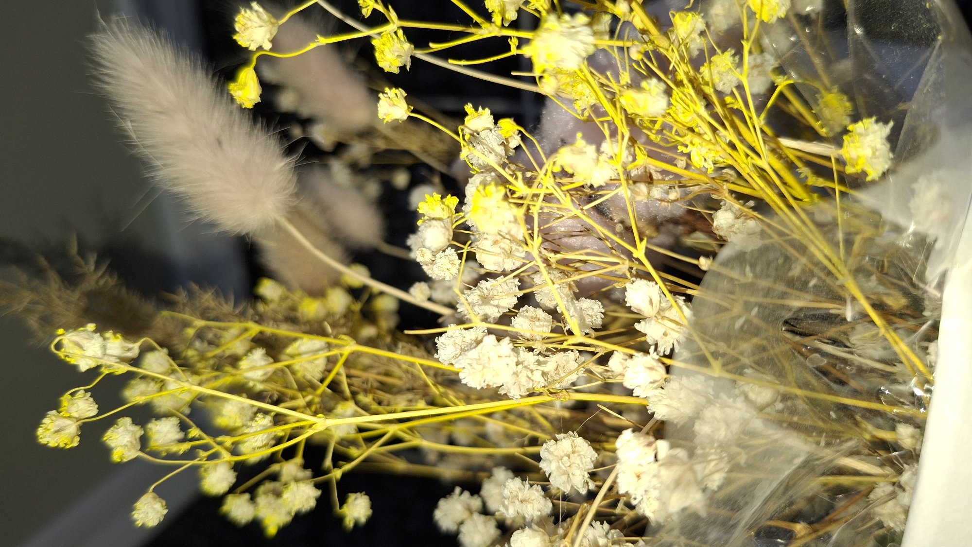 The image depicts a close-up view of a bouquet of dried flowers. The dominant colors are yellow and white. The flowers appear to be gypsophila, with small, clustered blossoms. There are also a few decorative feathery plumes in shades of beige and brown. The bouquet is partially wrapped in a clear plastic material. The background is a dark, blurred area.
There is no information given in the image or its prompt about a location, city, or country. Therefore, the claim of location in Chaikovsky, Russia cannot be verified from the image data provided.