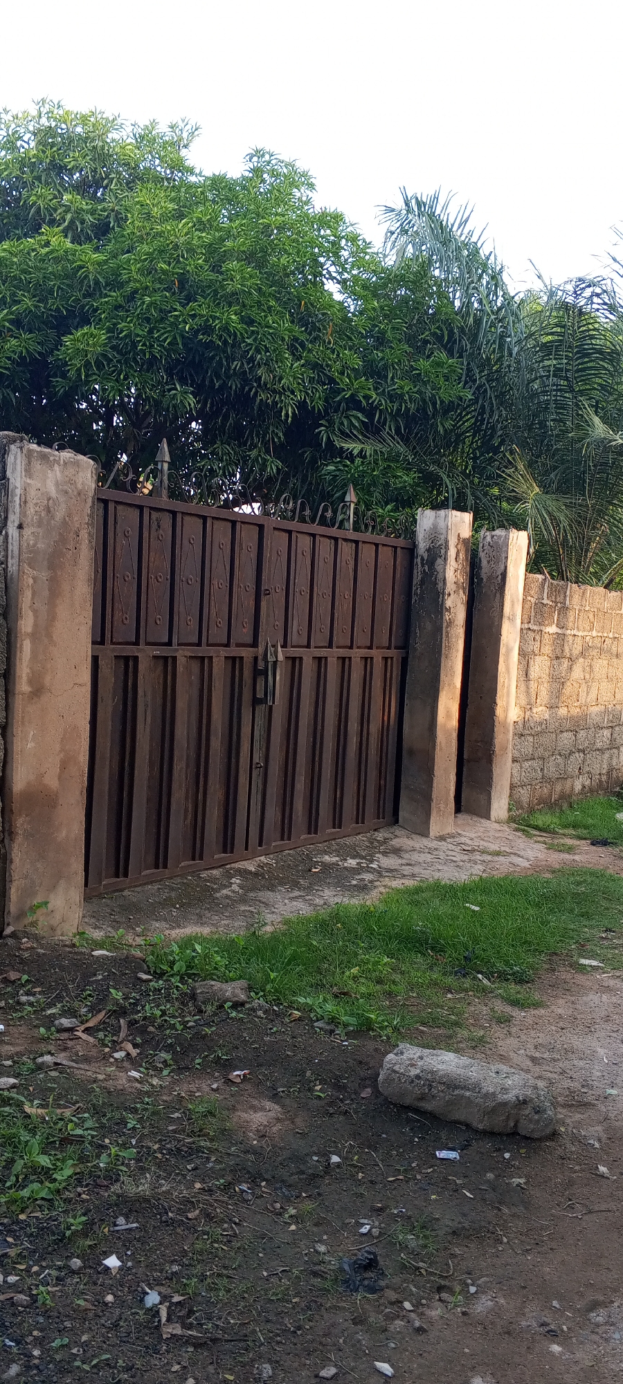 The image depicts a weathered, dark brown metal gate, likely made of iron, with vertical slats and decorative elements at the top. The gate is flanked by two tall, rough, concrete posts, one on the left and two on the right, which appear aged and stained. Behind the gate and posts, a wall constructed of light-colored bricks is visible. Above the gate and wall, lush green foliage from trees, including what appears to be a mango tree and palm fronds, creates a dense canopy against a bright, possibly overcast sky. In the foreground, the ground is a mix of dirt, scattered stones, patches of short green grass, and some debris, including small pieces of paper and plastic. A large, grey, rough-surfaced stone lies on the ground in the lower right portion of the image. The scene is outdoors, suggesting a residential or property boundary, possibly in Jalingo, Nigeria, given the tropical foliage. No people are present in the image.