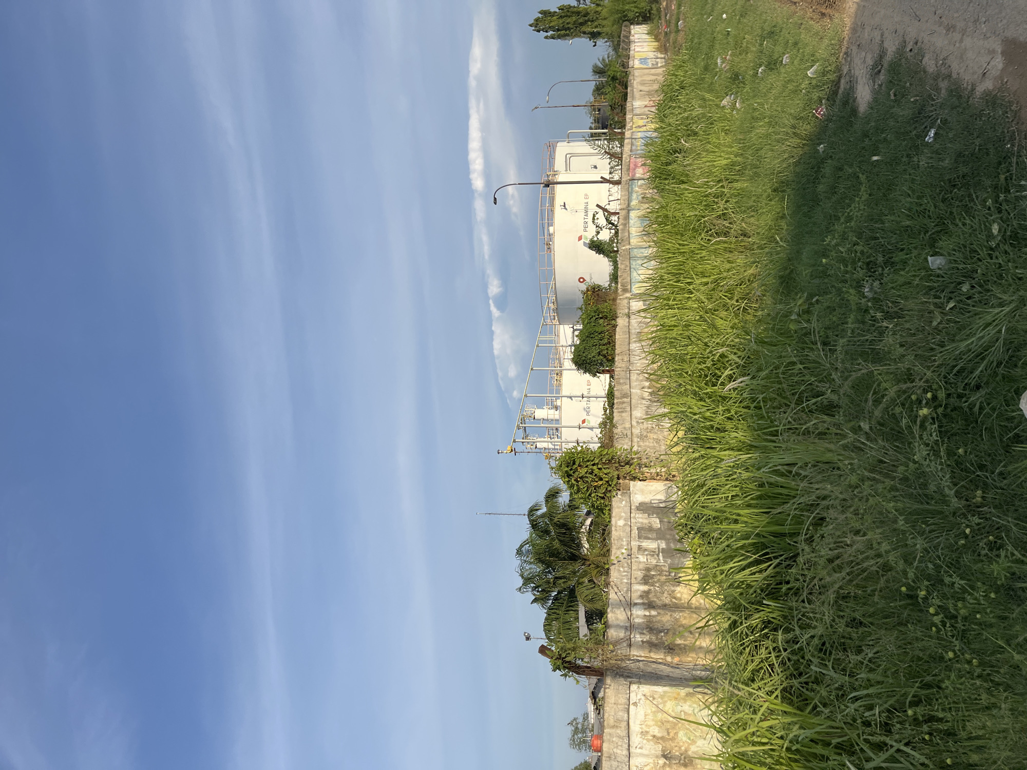 The image depicts an industrial scene in Alurcucur, Indonesia, under a clear blue sky with scattered white clouds. In the background, large white storage tanks with the "PERTAMINA EP" logo are visible, indicating an oil and gas facility. These tanks are surrounded by pipes and infrastructure, suggesting ongoing operations. In the midground, a weathered concrete wall runs horizontally across the frame, overgrown with lush green vegetation, including palm trees and vines. The wall is marked with graffiti in various colors. In the foreground, a dense patch of tall, green grass and weeds covers the ground, with some scattered debris visible on the right side. A dirt path can be seen to the far right, leading into the scene. The overall impression is one of an industrial area juxtaposed with untamed natural growth, possibly indicating a neglected or transitioning zone within the city.