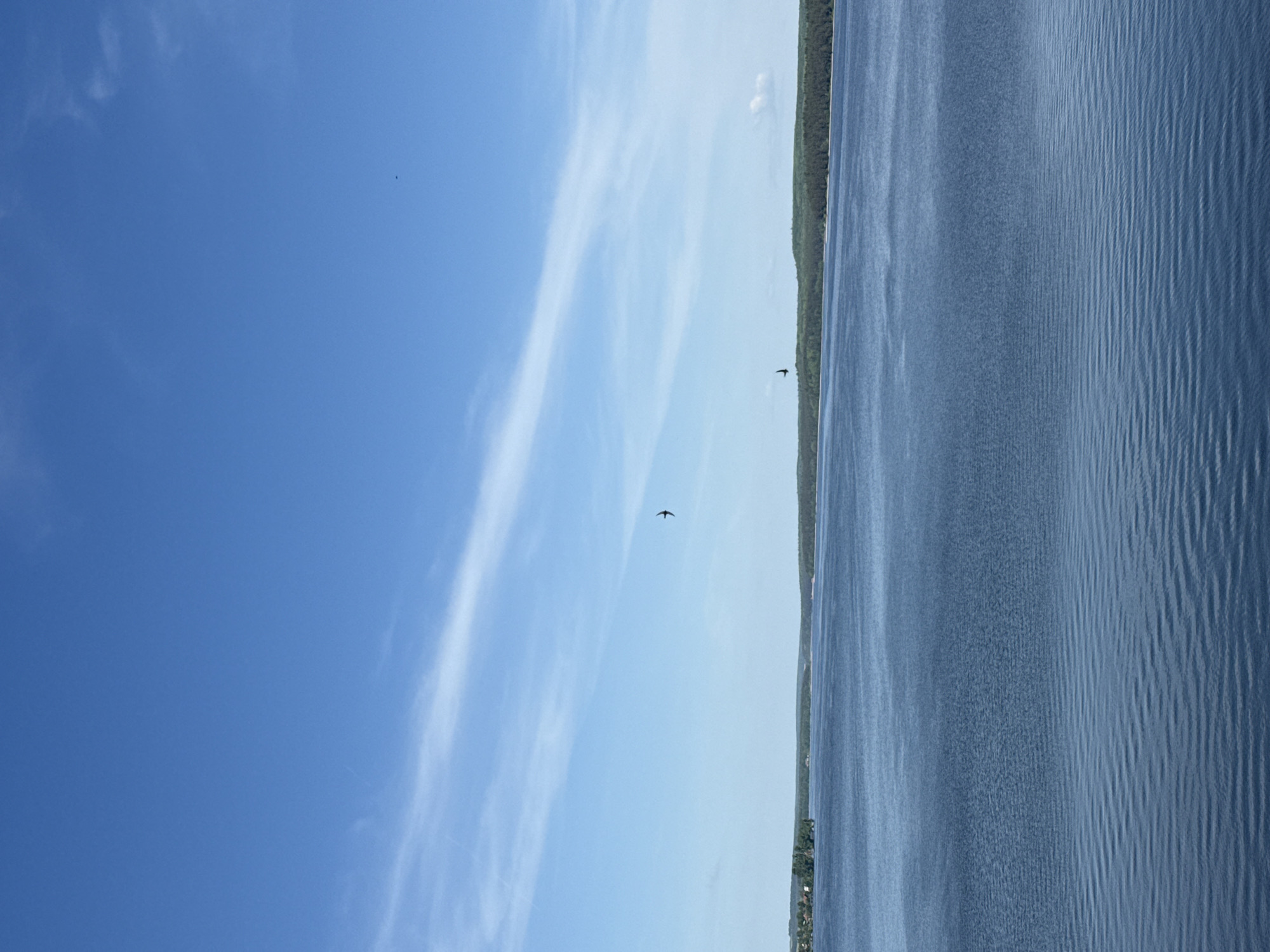 The image depicts a body of water, possibly a lake or wide river, with a treeline visible on the right side. The sky is blue with scattered clouds. Two birds are visible in flight against the sky. The water shows regular wave patterns. The location is potentially Votkinsk, Russia, based on context, but there are no identifying features in the image confirming this.