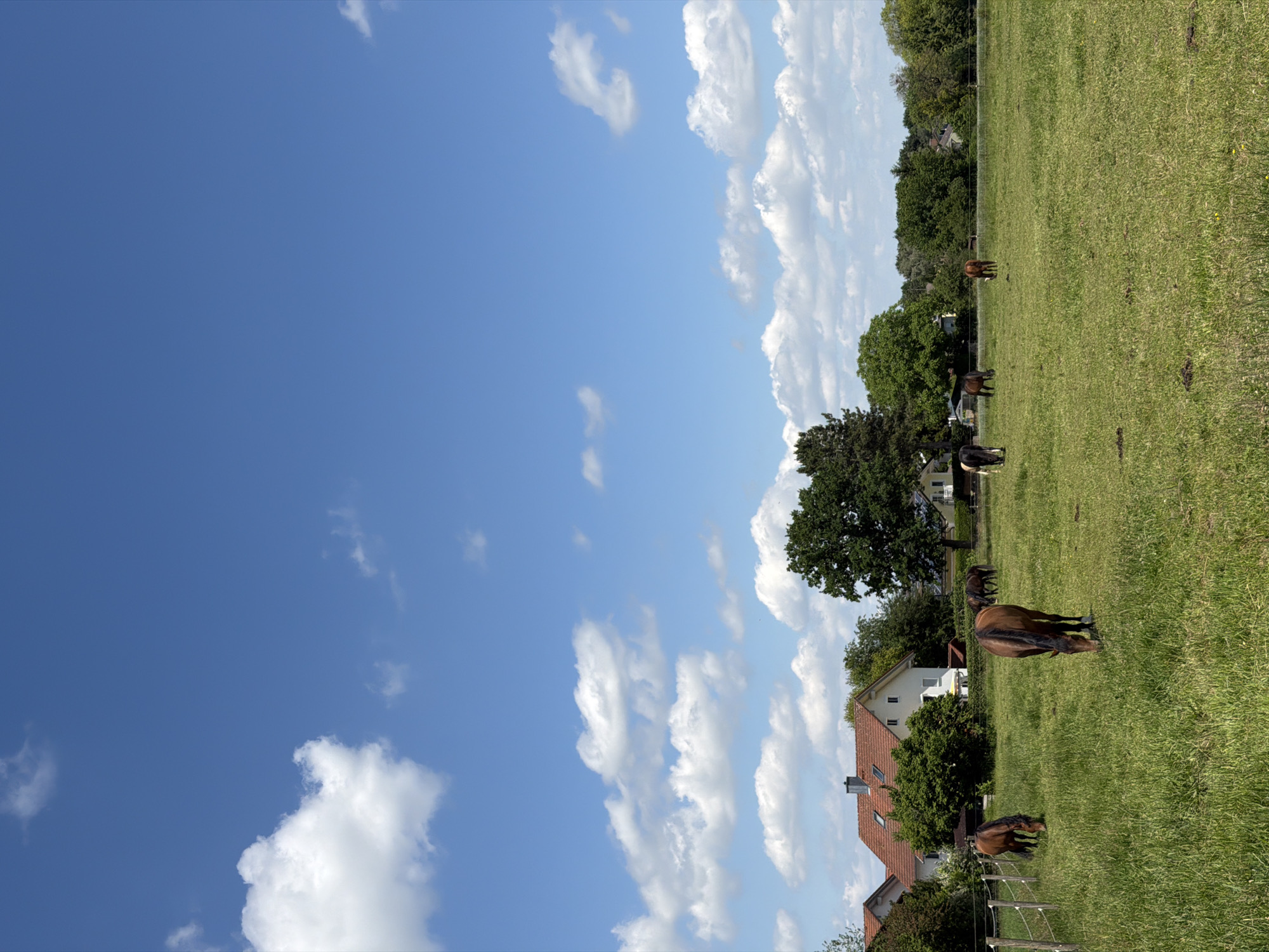 This is a landscape image captured in Anzing, Germany, during the daytime under clear blue skies with scattered white clouds. The scene depicts a rural setting with a focus on a grassy field where several horses are grazing.
The foreground is dominated by a vast expanse of green grass, likely a pasture. The midground reveals a treeline bordering the field, with lush green foliage. Several houses with red-tiled roofs are visible nestled among the trees, suggesting a residential area adjacent to the farmland. In the distance, more trees and buildings can be discerned.
A notable element of the image is the presence of at least four horses spread across the field. One horse, a chestnut color, is prominently featured in the lower right portion of the frame, grazing with its head down. Other horses are scattered further into the field, also engaged in grazing. A wooden fence is partially visible in the lower left, marking the boundary of the field.
The bright sky and the healthy green grass indicate pleasant weather, likely a warm day. The overall impression is one of tranquility and a peaceful rural environment. There is no visible text in the image.