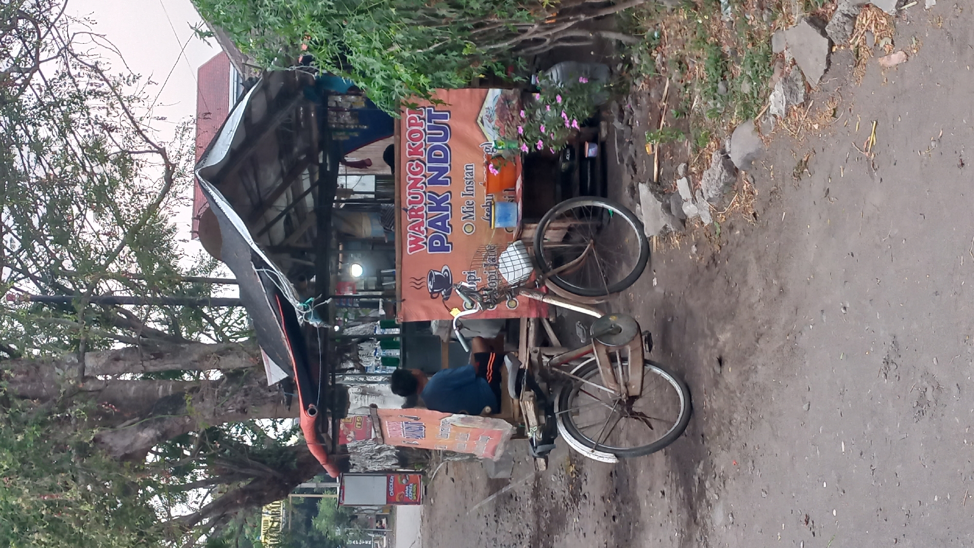 This image captures a roadside scene in Pare, Indonesia, featuring a small food stall with a bicycle parked in front. The stall, constructed with a makeshift roof and wooden supports, displays a prominent banner that reads "WARUNG KOPI PAK NDUT," indicating it is a coffee shop. The banner also lists items like "Mie Instan" (instant noodles) and "Kopi Jahe" (ginger coffee). Behind the counter, shelves are stocked with various bottles and containers. A man wearing a blue t-shirt and shorts is seated behind the stall, appearing to be the proprietor.
The bicycle, an older model with a basket on the front, is positioned at an angle in front of the stall, suggesting it might be used for transport or as part of the stall's setup. The ground is unpaved and appears to be a dirt road or path, with scattered rocks and debris. Vegetation, including a large tree with dense foliage and a small cluster of pink flowers, adds to the natural element of the environment. The overall atmosphere suggests a typical local street-side business in a rural or semi-urban setting.