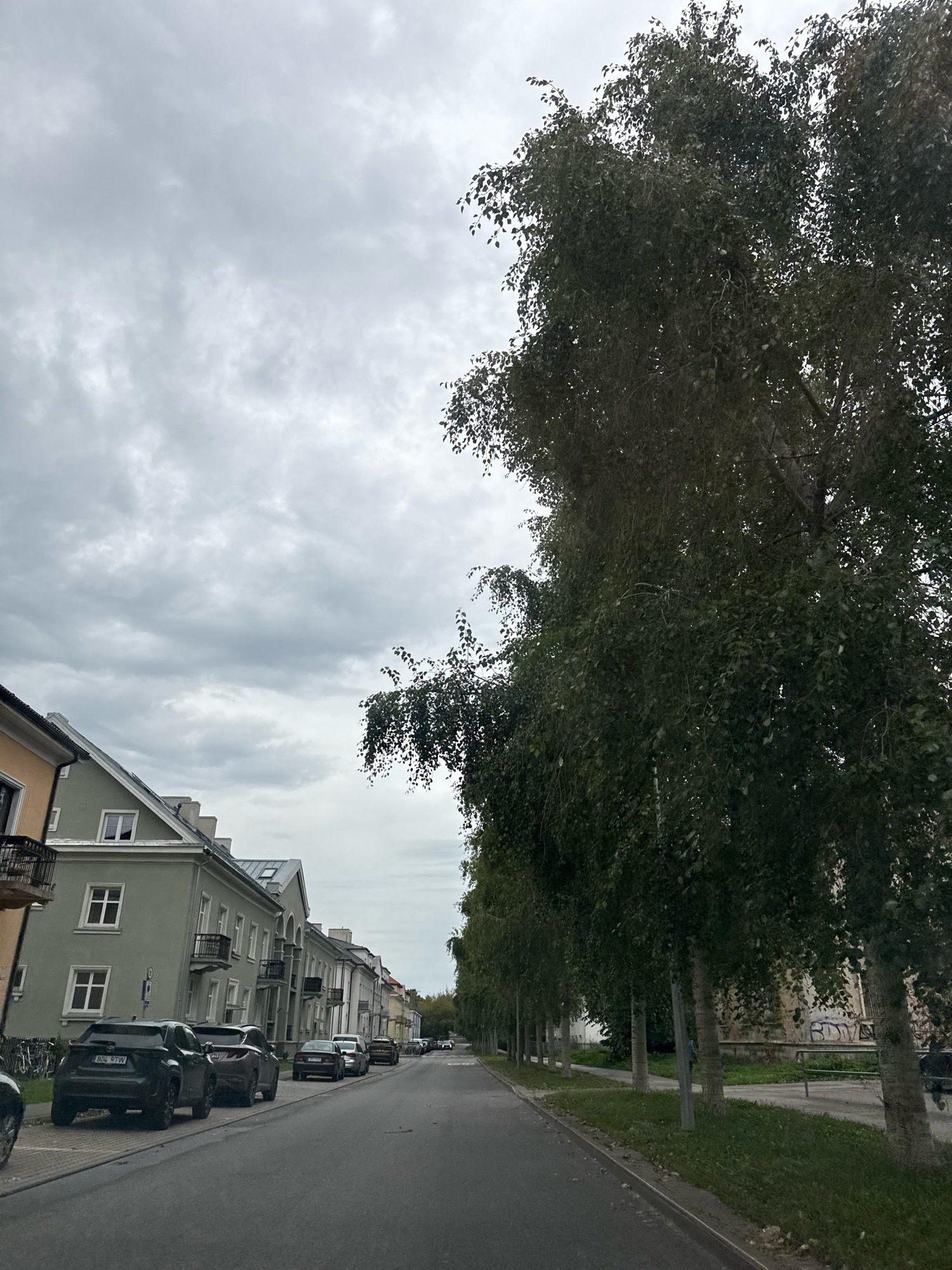 The image depicts a street scene in Tallinn, Estonia, under an overcast sky. On the left side of the street, a row of parked cars lines the curb. The cars vary in color and model, with at least two SUVs and several sedans visible. Behind the cars, a row of multi-story buildings with light-colored facades and pitched roofs extends down the street. These buildings feature windows and balconies. To the right of the street, a line of tall trees with dense foliage forms a natural barrier. The trees have slender trunks and their branches arch over the sidewalk and street. The road itself is paved and appears to be a typical urban street. The overall impression is a quiet, residential or commercial street in a European city.