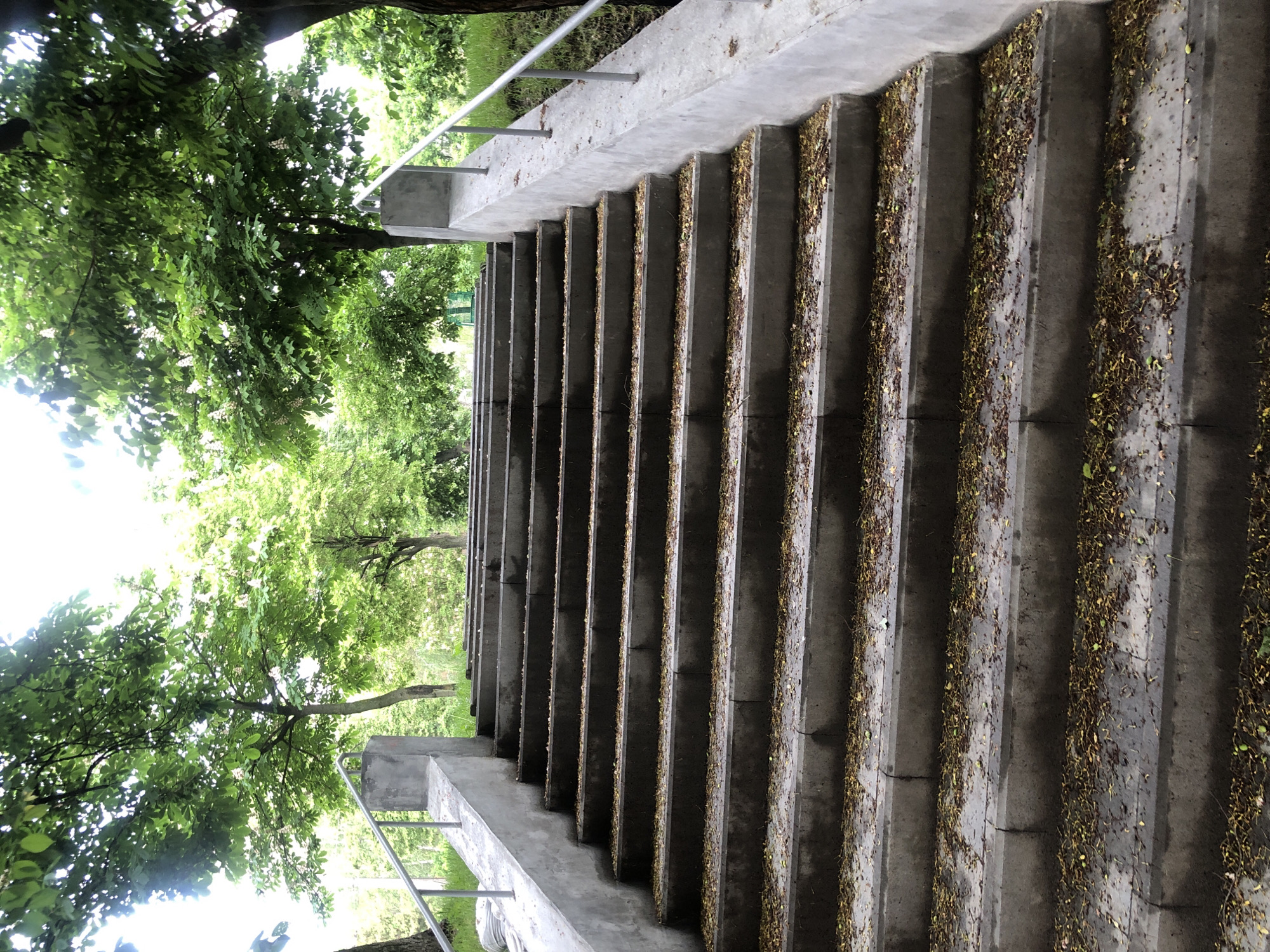A ground-level shot looking up a long, concrete staircase in Kyiv, Ukraine. The staircase is flanked by green trees and foliage on either side. A metal handrail is visible on both sides of the staircase. The steps themselves are covered with scattered dry leaves and small debris. The image has a slightly off-center perspective, with the staircase stretching upwards and away from the viewer. The light is dappled, suggesting it is daytime.
