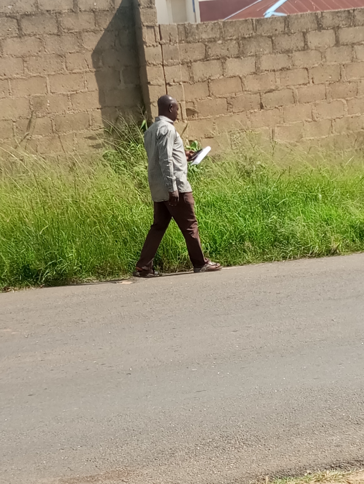 A dark-skinned bald man walks on a paved road in front of a brick wall and tall grass. He is wearing a long-sleeved striped shirt and brown pants. He is holding a white object in his right hand. The image is taken outdoors during the day. The brick wall is made of light brown, rectangular blocks. The grass is green and appears to be growing wild. The paved road is asphalt and appears to be in good condition. The scene is in Jos, Nigeria.