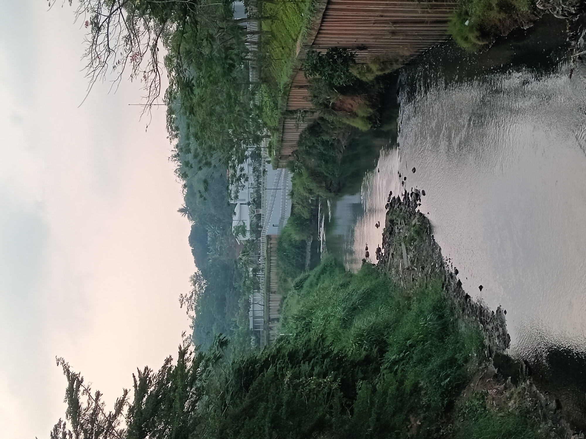 The image depicts a river flowing through a landscape in Gunung Putri, Indonesia, likely during twilight hours due to the soft, diffused light. The river is bordered by earthen embankments reinforced with wooden planks on the right side and lush green vegetation on the left. In the background, there are residential buildings, a road with a pedestrian walkway, and a dense canopy of trees covering rolling hills. The sky is overcast, casting a pale, muted light over the scene. There are no people visible in the image, and the focus is on the natural and man-made elements of the environment.