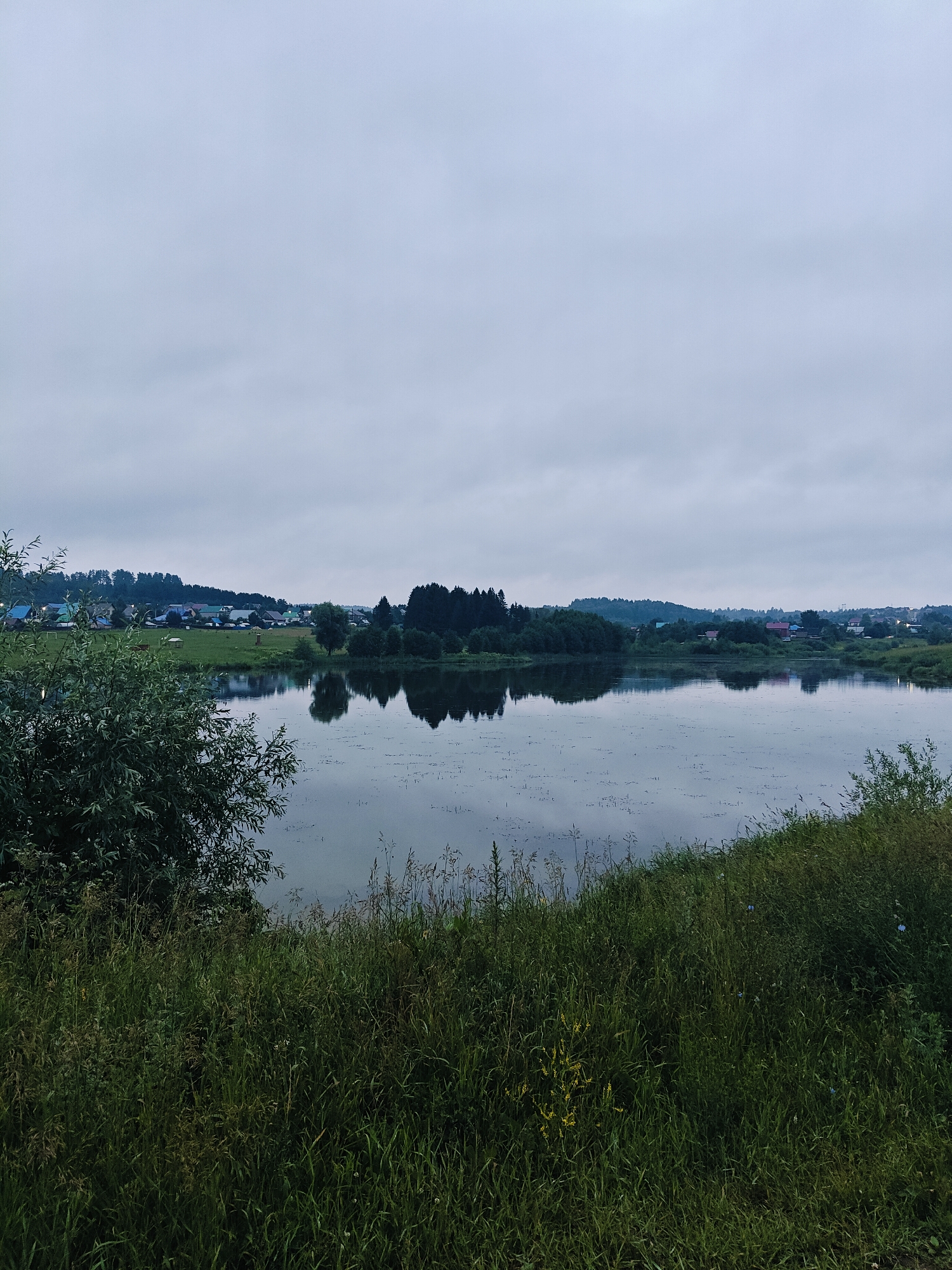 The image depicts a serene, overcast landscape overlooking a tranquil body of water, likely a lake or river, at a rural location in Фоки, Russia. The scene is dominated by lush green vegetation in the foreground, with tall grasses and a leafy tree to the left. Across the water, a small village or settlement is visible, nestled among rolling hills and dense forests. The buildings in the village have colorful roofs, suggesting residential structures. The water's surface is calm, reflecting the muted tones of the sky and the surrounding landscape, with small specks of aquatic plants dotting its expanse. The sky is a uniform grey, indicating cloudy weather and possibly early morning or late evening. There are no people or specific objects of focus, creating a sense of peaceful isolation and natural beauty. The overall mood is quiet and contemplative, characteristic of a subdued natural environment on a cloudy day.