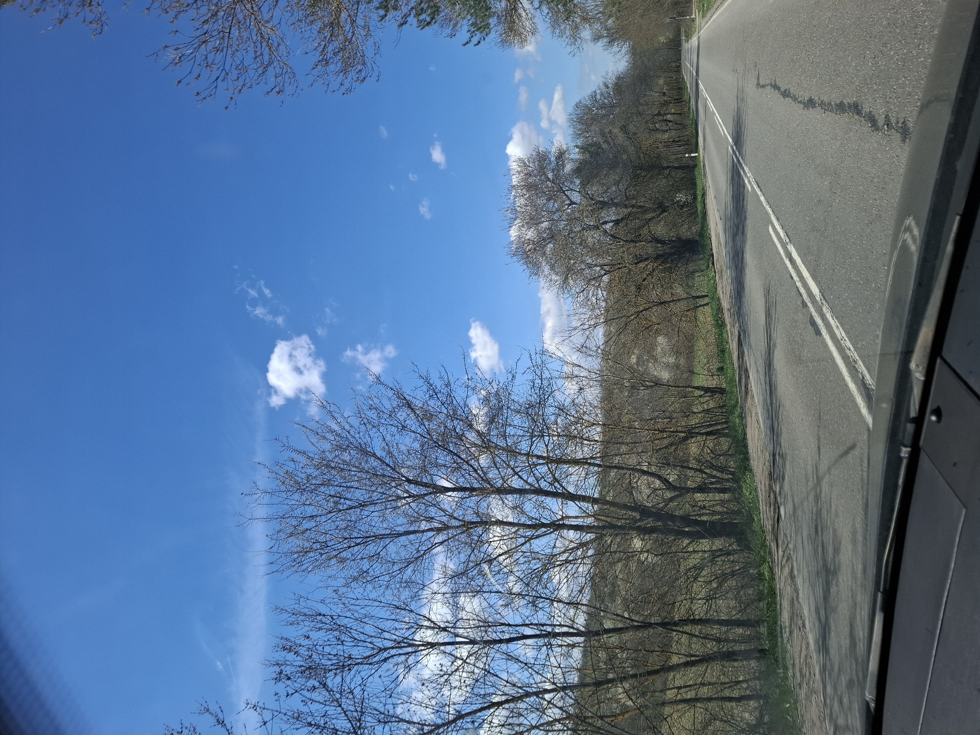 The image shows a view from inside a vehicle, likely a car, traveling on a paved road in Studeno Buche, Bulgaria. The road is marked with double white lines. To the right of the road, trees and vegetation line the edge. The sky is blue with scattered clouds and branches of trees framing the top left of the image. The interior of the vehicle is visible in the lower right corner.