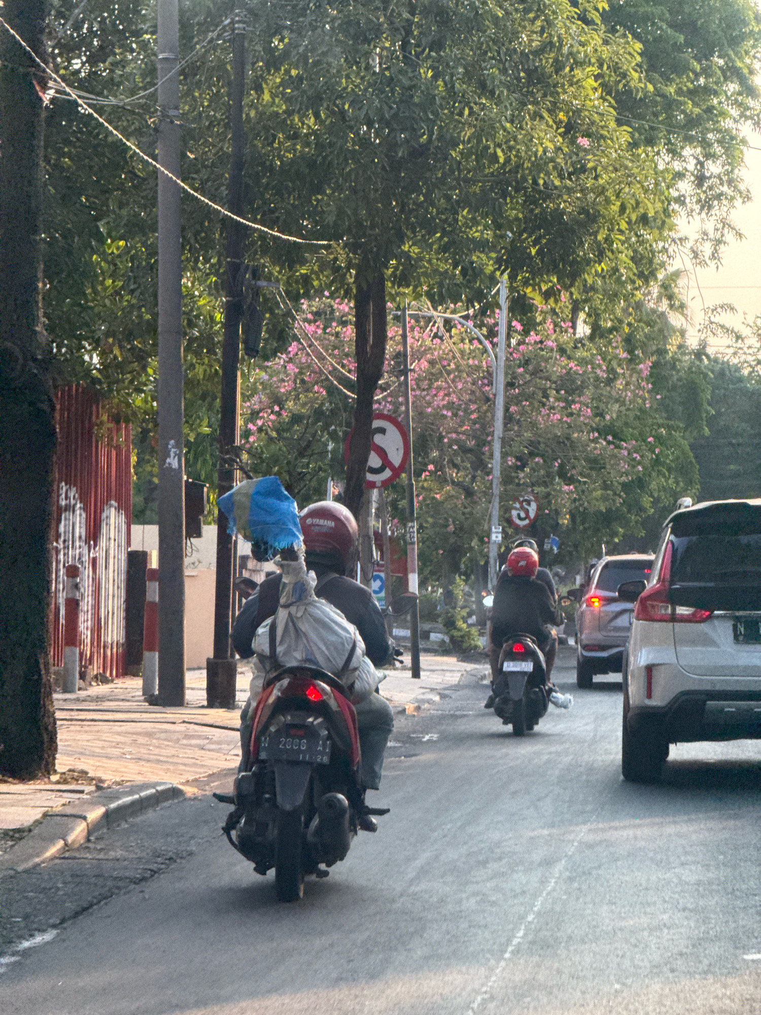 The image depicts a street scene in Surabaya, Indonesia, with traffic moving along an asphalt road. In the foreground, a person is riding a dark-colored scooter, carrying a large bundle wrapped in white fabric and topped with a blue and yellow cloth. The rider is wearing a red helmet. Behind this scooter, another person on a scooter, also wearing a red helmet, is visible, followed by a silver SUV. Further down the road, a light-colored car is also present.
The environment includes a sidewalk lined with posts and a corrugated metal fence on the left. A tree with lush green leaves and pink blossoms is prominent on the right side of the road, with additional foliage and trees in the background. Traffic signs are visible, including a circular sign with a red border and a diagonal red line, indicating a prohibition, and another sign with a symbol that appears to be a stylized letter 'S'. The lighting suggests it is late afternoon or early evening, with sunlight casting a warm glow.