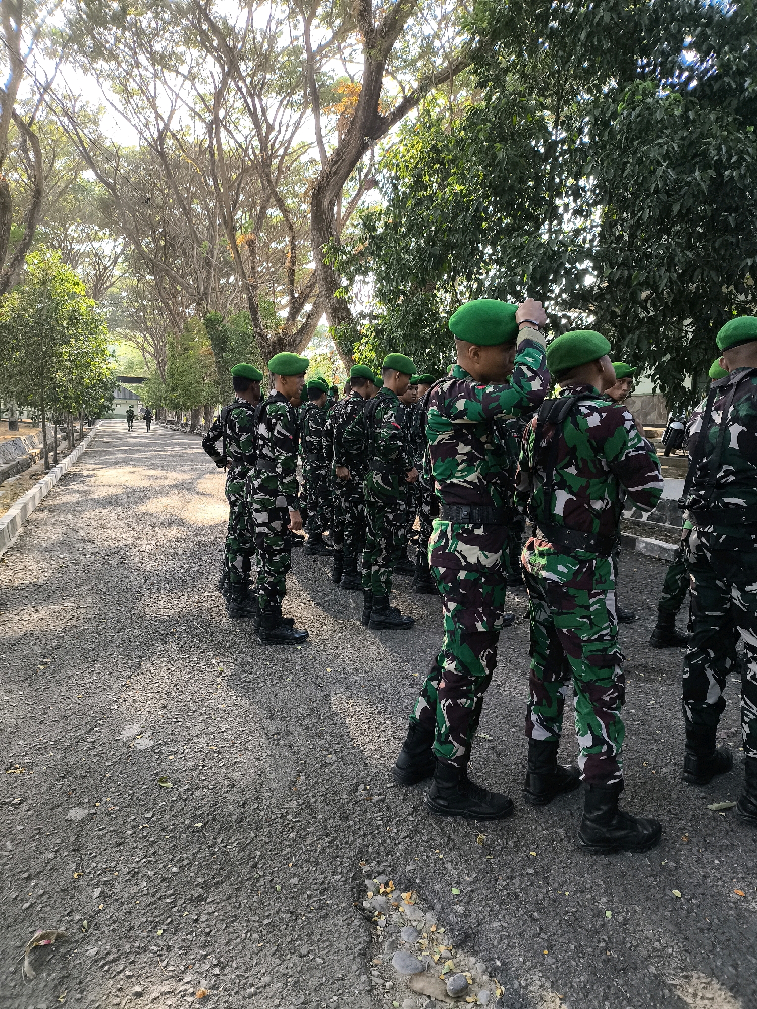 A group of soldiers in camouflage uniforms and green berets stand in formation on an asphalt road. The soldiers are facing to the right of the frame and appear to be engaged in some sort of military training or ceremony. The road is lined with trees on both sides, and there are buildings in the background. The sun is shining, casting shadows on the ground. The overall impression is one of order and discipline. The location is likely an outdoor training facility or military base in Indonesia.