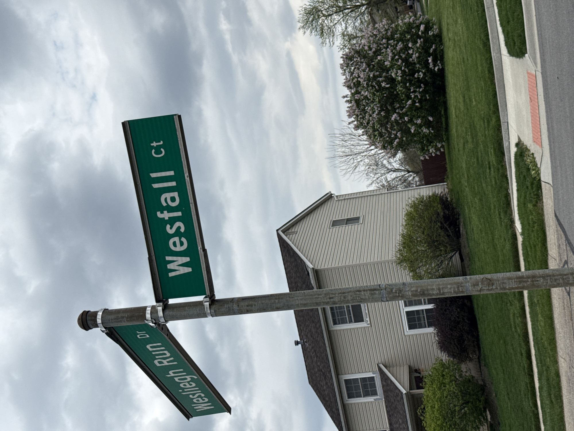 The image shows a street sign at the intersection of Wesleigh Run Dr and Wesfall Ct. A light-colored, two-story house is in the background, with a large blooming lilac bush nearby. The sky is cloudy, and there is green grass and a sidewalk along the side of the road. The location of this image is in the city of Columbus, United States of America.
