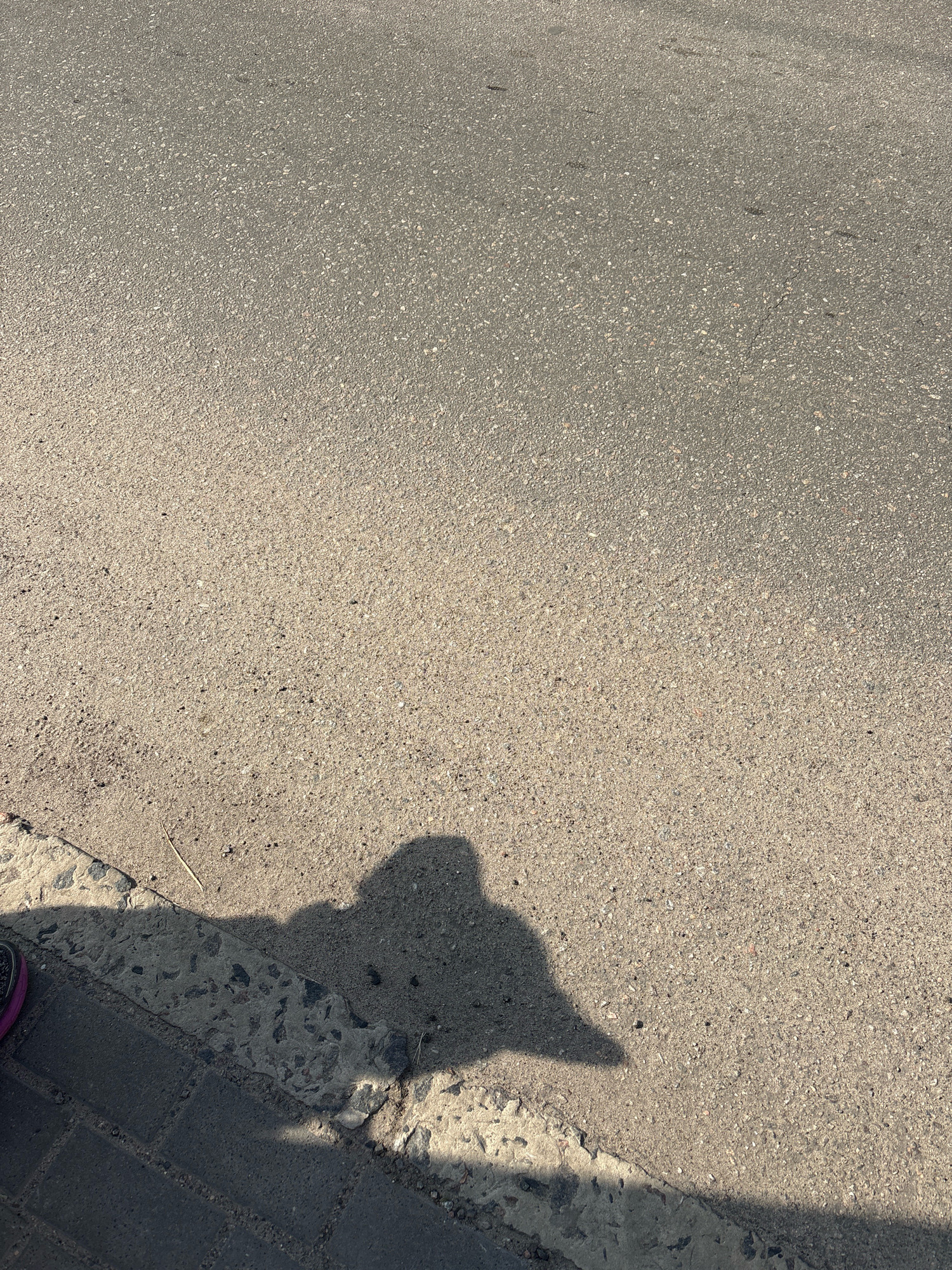 The image shows a shadow of a person, likely taken from a high angle, casting on a textured asphalt surface. A portion of a concrete curb and dark brick paving stones are visible in the lower left corner, with a glimpse of a purple and black shoe. The scene appears to be an outdoor urban environment, possibly a sidewalk or street. The lighting suggests it is daytime with the sun casting a defined shadow. The asphalt is a neutral gray with a speckled texture, indicating it is worn and exposed to the elements. There are no other visible people or objects in the immediate vicinity. The setting is likely a public space in Cherkasy, Ukraine, given the prompt's context.