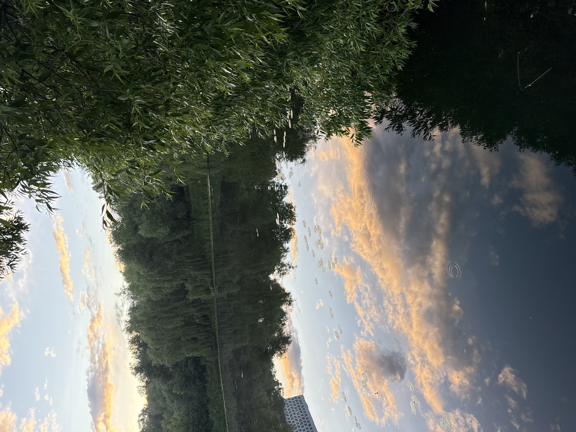 The image depicts a serene lakeside scene with lush green trees lining the shore and their reflections shimmering on the water's surface. The sky above is a soft blend of blue and pastel hues, with wispy clouds tinged with the warm glow of sunset. A hint of a modern building, possibly an apartment complex, is visible in the reflection on the water, suggesting an urban setting. The overall impression is one of tranquility and natural beauty within an accessible, developed area.
