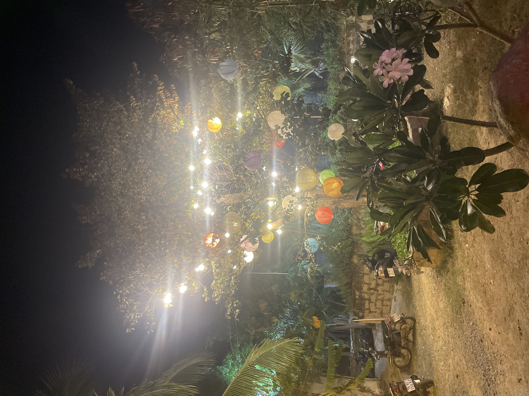 The image depicts an outdoor setting at night. String lights and colorful lanterns hang from trees, illuminating the area. There are motorcycles parked on the ground. Trees, bushes, and flowers are also visible. The location is likely in the city of Bac Natural Heritage Area Trang, Vietnam.