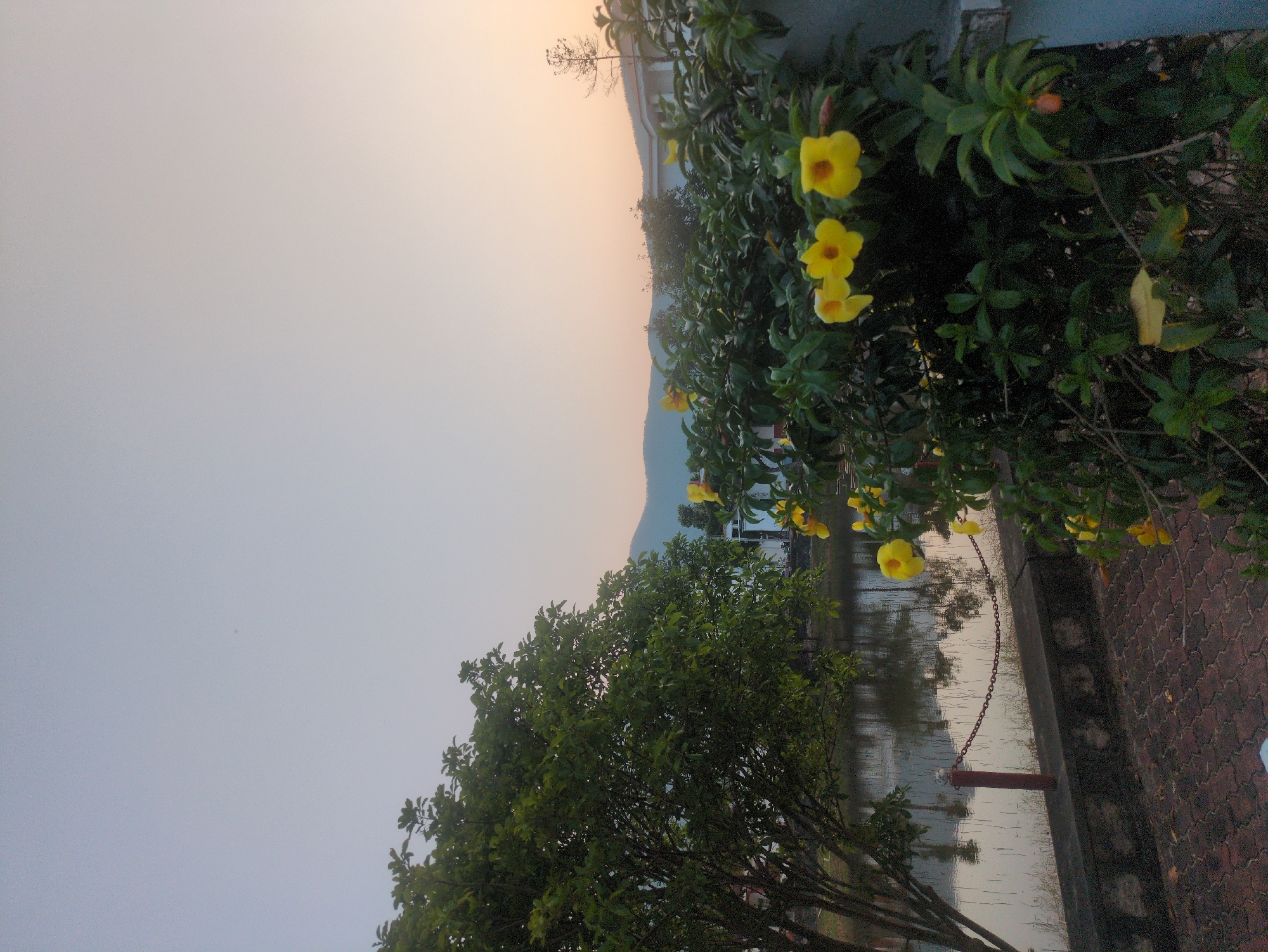 Captured in South Quy Nhon Ward, Vietnam, the image depicts an outdoor scene with a blend of natural and man-made elements. The sky transitions from a pale grey to a light orange hue. In the foreground is a tree with dense green foliage. Adjacent to the tree, a body of water reflects the sky and surrounding vegetation. Yellow flowers are blooming, and a dark chain hangs beside the water, affixed to what appears to be a barrier. The ground shows a red brick pattern. In the distance, a mountain range is visible.