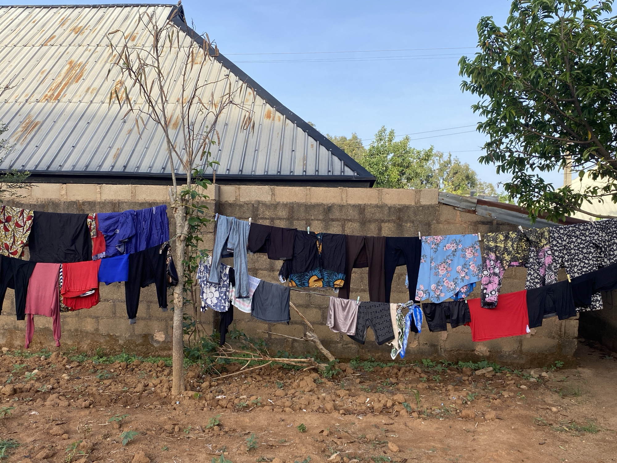 The image captures an outdoor scene primarily featuring laundry drying on clotheslines in what appears to be a residential backyard.
**Subjects**: The main subjects are a multitude of clothes of various colors, patterns, and types (pants, shirts, dresses, shorts, and undergarments) hanging on two parallel clotheslines, secured by white clothespins. Behind the clotheslines, a concrete block wall separates the yard from what seems to be another property or structure. Above the wall, to the left, is the slanted corrugated metal roof of a building, showing some patches of rust. To the right, a large, leafy green tree is prominently visible against the sky. In the immediate foreground, the ground is primarily reddish-brown soil with some small patches of green weeds and scattered debris. A slender, leafless tree with long seed pods stands upright in the left-center, partially obscuring some of the laundry. The sky above is clear and light blue.
**Activity or event taking place**: The scene depicts the routine activity of drying freshly washed clothes outdoors on a sunny day.
**Notable details**: The time of day appears to be daytime, given the bright, clear blue sky and the visible sunlight (though direct sun is not shown). The weather seems fair and dry, ideal for air-drying laundry. Location cues such as the concrete block wall, the corrugated metal roof, and the reddish-brown soil are characteristic of certain regions, consistent with the provided context of Jos, Nigeria. There are faint power lines visible against the sky in the upper right. No human figures are present, and the overall mood is mundane and practical.
**Visible text**: There is no visible text in the media file.