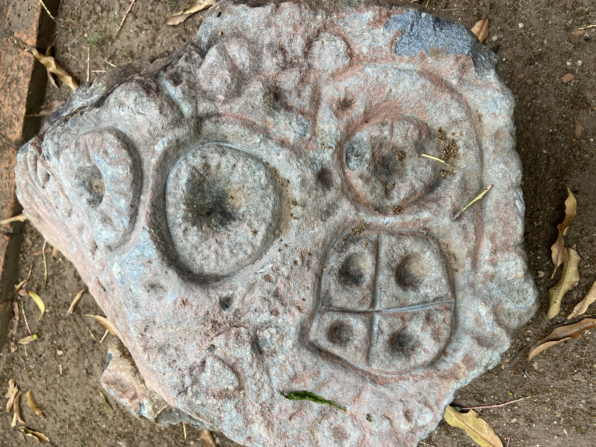 An irregularly shaped stone object, possibly a petroglyph or carved artifact, lies on dark, earthy ground, likely outdoors. The stone, exhibiting a mix of greyish-blue and reddish-brown hues with a rough texture, features a stylized, abstract face or mask carved into its surface.
The "face" consists of two large, prominent circular depressions serving as eyes, one on the left and one on the right. Below the right eye, there's another smaller circular indentation. A larger, roughly rectangular depression below the eyes is divided by intersecting lines into four smaller squares, resembling a grid or a mouth with teeth. The carvings are deep and well-defined, showing signs of weathering.
Scattered around the stone and on the ground are dry, decaying leaves and small bits of vegetative debris. A reddish-brown, brick-like structure is partially visible on the left side of the frame, hinting at a built environment nearby. The scene is illuminated by natural daylight, without strong shadows, suggesting an overcast day or indirect light. There is no visible text. The static scene depicts no active event or people. Given the location context of Tinaquillo, Venezuela, the object likely represents ancient indigenous art or a replica displayed in a natural or archaeological setting.
