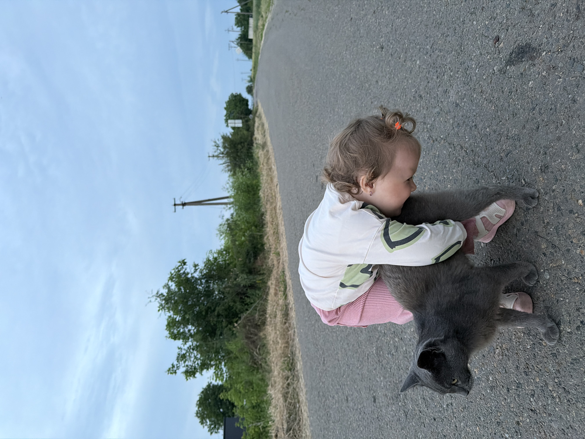 A young child, possibly female due to pink attire, is interacting with a grey cat on an asphalt road. The child is wearing a light-colored shirt with green and black graphic designs and pink striped pants. Their head is bent down, looking towards the cat, and one arm is wrapped around the cat's body. The cat, a short-haired grey breed with yellow eyes, is standing and looking to the left. The child's feet are clad in pink sandals, and the cat's paws are visible on the asphalt. The background features a rural landscape with dry grass and green bushes on the sides of the road, and utility poles visible in the distance. The sky is overcast with a pale blue hue, suggesting a cloudy day. The setting appears to be a paved road in a rural area, potentially Komsomolskiy, Russia, given the presence of utility poles and the general landscape.