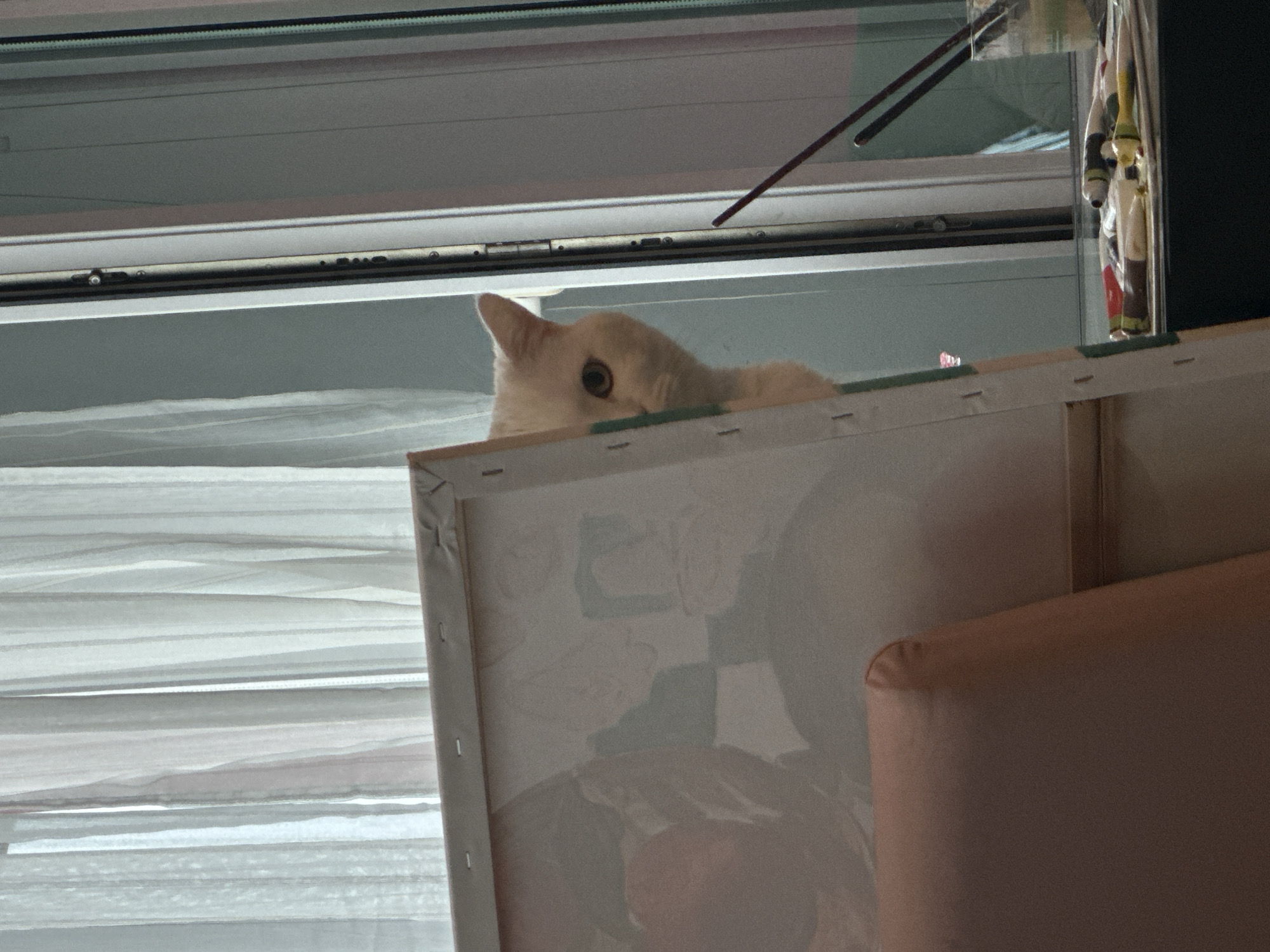 A white cat peers over the top of a framed canvas print. The frame is white, and the canvas has an abstract design with white, blue, and red tones. Behind the canvas is a peach-colored upholstered object, likely part of furniture. Beyond the cat and canvas is a window with horizontal blinds. The window frame is white, and the blinds are also white, creating a layered background of horizontal lines. The location is unknown, but it can be said this photo was most likely taken inside of a building with blinds in front of the window.