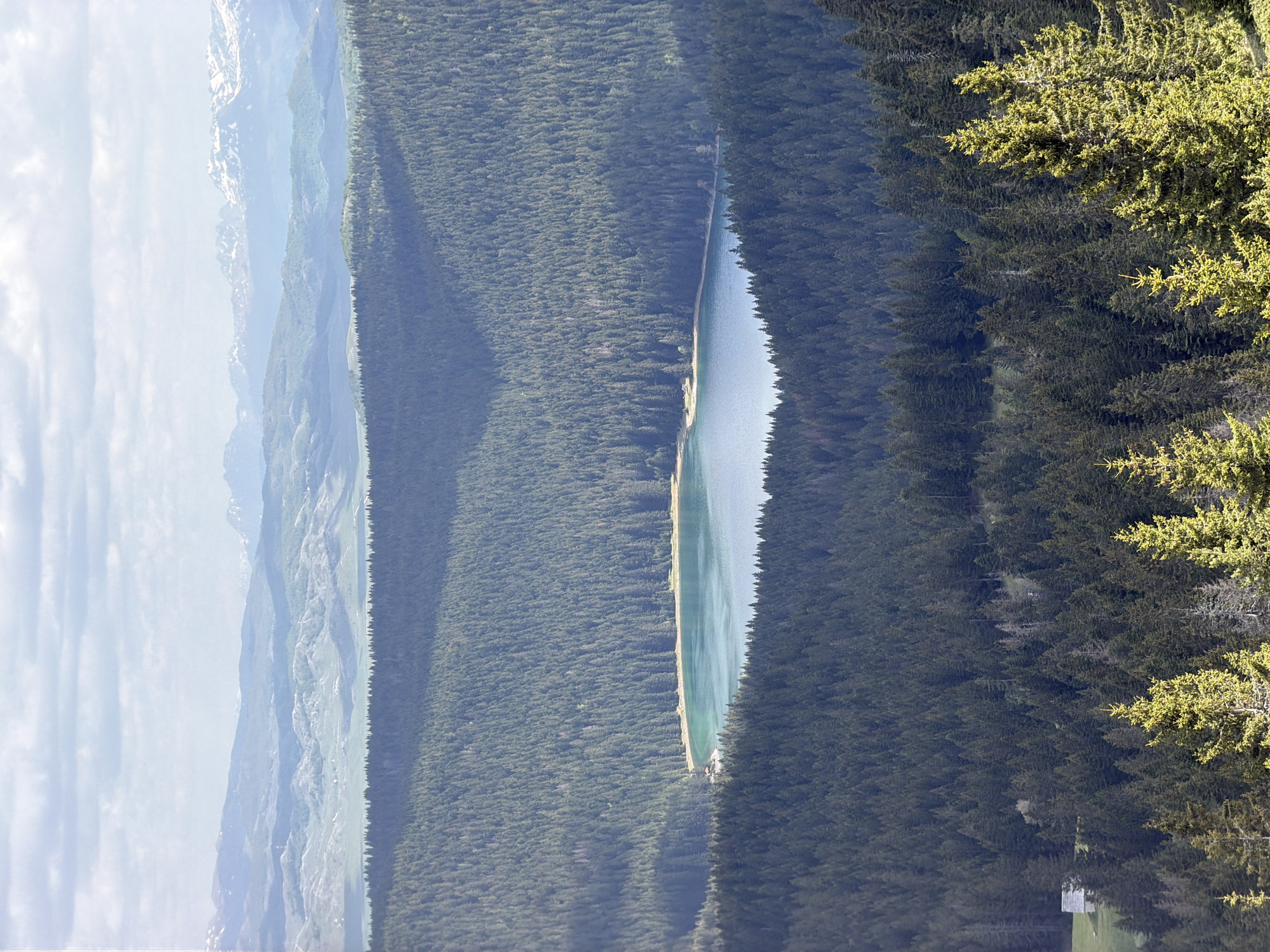 An aerial view depicts a narrow lake nestled between dense forests in Pitomine, Montenegro. Snow-capped mountains are visible in the distance, and the sky is partially obscured by clouds. In the foreground, trees with light green foliage are present. A small, indistinct structure is visible near the forest edge.
