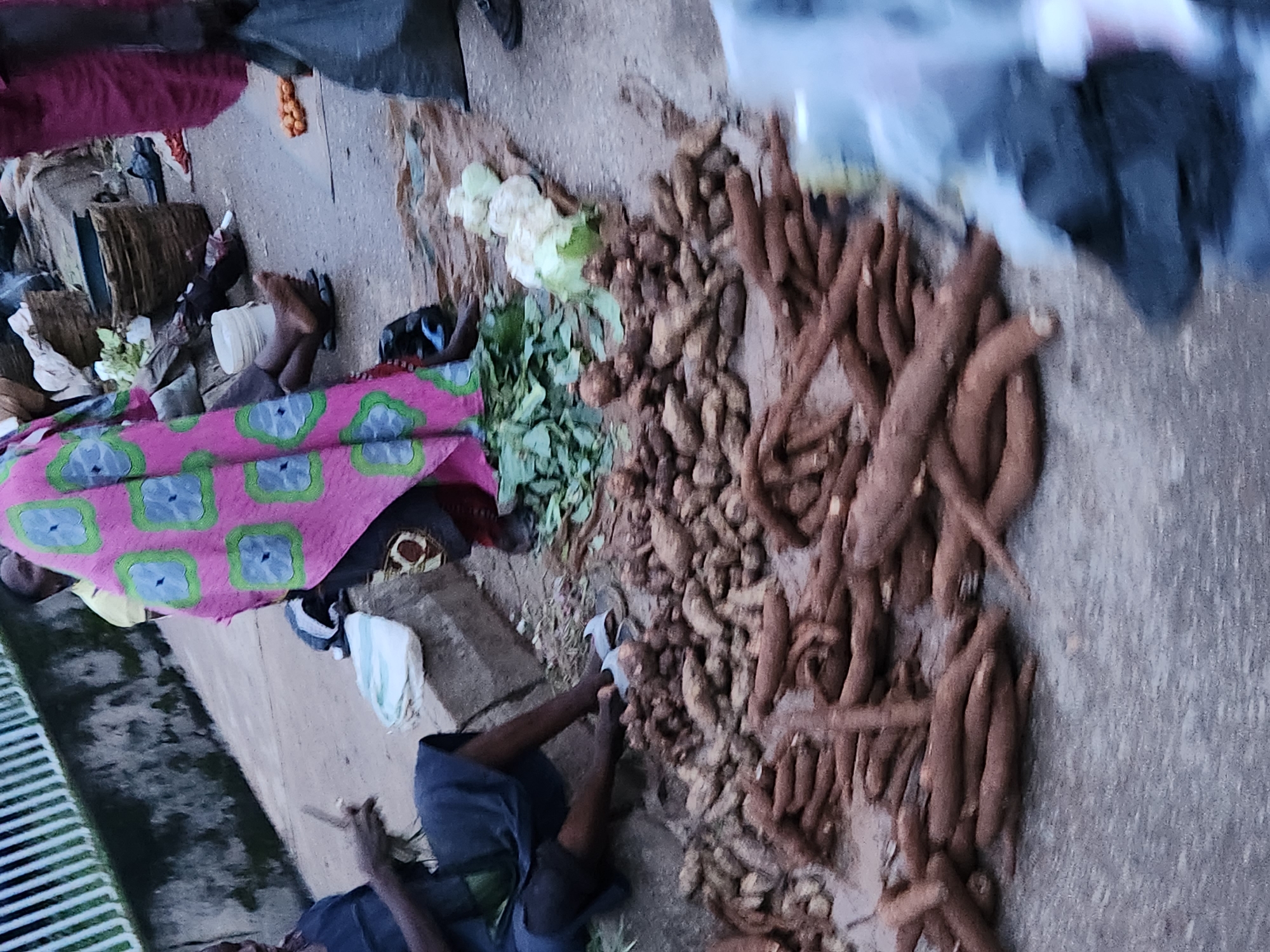 In Kabong, Nigeria, a market scene unfolds on a paved street. Several individuals are present. In the foreground, a large quantity of cassava tubers is piled on the ground. To the left, a person wearing a dark blue garment is seated on a raised concrete curb, holding what appears to be a knife or sharp object in their hand. They are wearing light-colored flip-flops. Behind this person, a white bucket is visible. Further back, a person is partially visible, wearing a vibrantly colored pink and green patterned cloth. To their right, a person in a red garment is also partially visible. In the middle ground, a person is sitting with their legs extended, wearing sandals. A wicker basket is situated behind them, and further back, several orange fruits are scattered on the ground. Several bags are present in the scene, including a dark grey bag on the right side and a white plastic bag filled with a white substance. The environment includes a concrete curb, a paved street, and a striped railing or fence in the background.