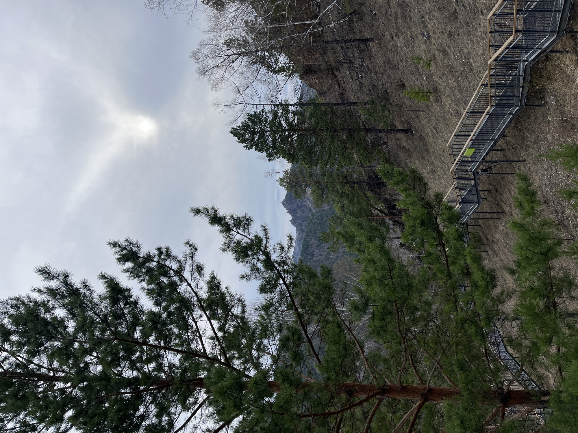The image shows a landscape in Krasnoyarsk, Russia. A mountainside is visible with trees in the foreground, including coniferous and deciduous species. A metal staircase with wooden handrails is built along the slope. The sky is cloudy with a hint of sunlight breaking through. The terrain consists of grass and dry vegetation. A mountain peak can be seen in the distance.