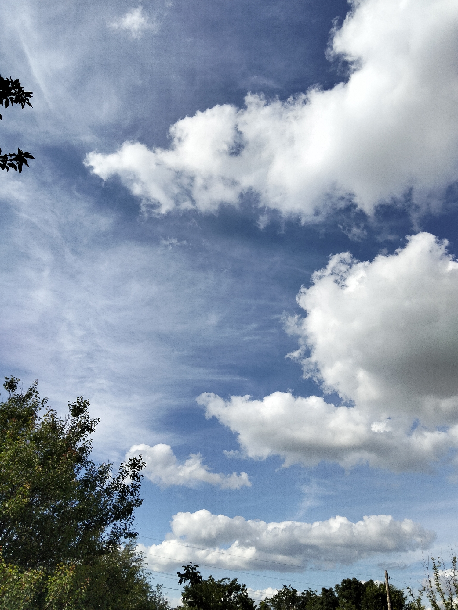 This is an eye-level, outdoor, full shot of a blue sky with scattered white clouds. In the foreground on the left, the dark green foliage of a tree is visible, with some of its branches extending into the upper left corner of the frame. The sky occupies the majority of the image, with wispy cirrus clouds stretching across the upper half and larger, more defined cumulus clouds appearing in the right half and lower portions of the frame. The lighting suggests it is daytime, likely midday or early afternoon, with the sun behind the viewer or to the side. The scene appears to be a natural landscape, possibly on the outskirts of Ustyvytsia, Ukraine, given the presence of trees and open sky. There are no people or animals visible in the image, nor any specific objects that would indicate a city environment, beyond what might be inferred from the presence of trees in what could be a park or residential area. The overall mood is calm and airy, with the dynamic cloud formations adding visual interest to the sky.