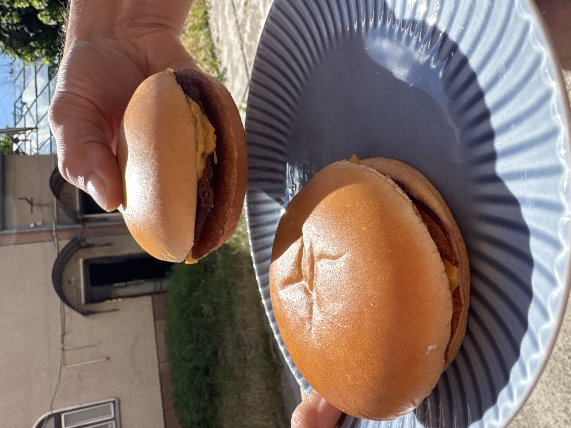 In Lozuvatka, Ukraine, two cheeseburgers are featured in a close-up shot. One burger is held in a person's hand, suspended above a blue-grey ribbed plate. The second burger rests on the plate. The background shows a building with arched doorways and windows, a green grassy area, and a greenhouse-like structure. The lighting suggests it is daytime, with bright sunlight casting shadows.