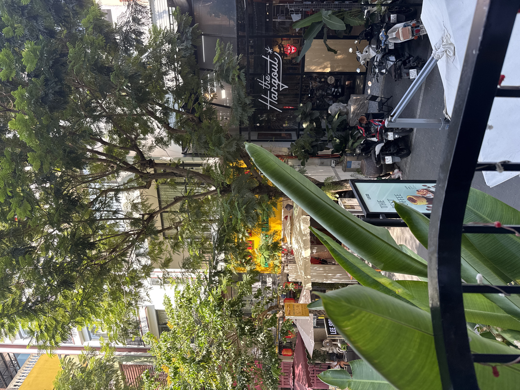 The image captures a street scene in Da Nang, Vietnam, with a focus on a building facade featuring a business called "the Hangout" with a distinctive neon sign. The street is lined with shops and cafes, indicated by awnings, outdoor seating areas, and signage. Several motorbikes are parked on the side of the street, a common sight in Vietnamese cities. Lush green trees partially obscure the buildings, suggesting a tropical or subtropical climate. In the foreground, large, vibrant green leaves of a tropical plant frame the view, adding a natural element to the urban environment. The overall impression is a bustling street with a mix of commercial activity and pedestrian-friendly outdoor spaces.