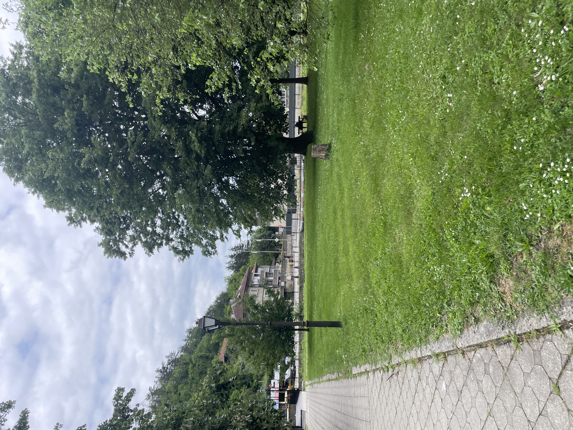 This image depicts a public park area in the city of Tryavna, Bulgaria. A paved walkway, made of hexagonal gray stones, runs along the left side of the frame. Adjacent to the walkway is a large expanse of green grass dotted with small white flowers. In the middle of the grassy area stands a dark, ornate lamppost. Beyond the grass, a black metal fence encloses a street area. On the other side of the fence, there are buildings, including a light-colored multi-story structure with a reddish-tiled roof, and trees. Further in the background, a green, tree-covered hillside rises. To the right of the lamppost, a large tree casts a shadow over the grass. A single tree stump is visible in front of this tree. Under the large tree, a dark bench is occupied by a person wearing dark clothing, who appears to be sitting and looking down. A red object, possibly a bag, rests on the ground next to the bench. The sky above is overcast with clouds.