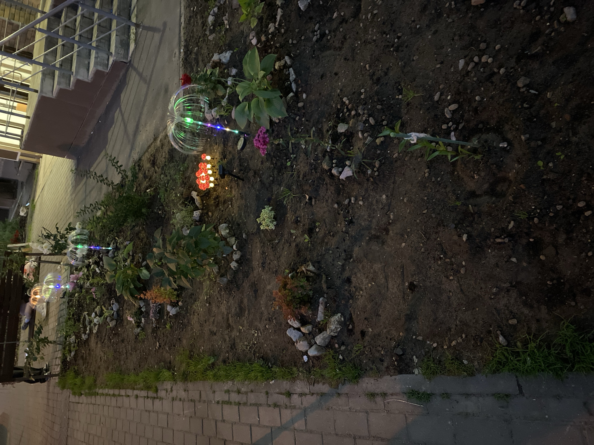 The image depicts an outdoor scene at night, likely in an urban or suburban setting. In the foreground, a garden bed is visible, containing soil, scattered stones, and several small plants. Decorative lights, shaped like mushrooms and a fountain, are illuminating the garden. The mushroom lights are a cluster of small, red-capped lights on thin poles, and the fountain light is a clear, spherical structure with green and blue lights. A small pink flower is also present.
To the left of the garden, a paved walkway made of brick pavers is visible, bordered by a strip of grass. In the background, a dark-colored bench is partially visible, with a person's legs and feet, wearing dark pants and sneakers, extending from it. Another figure appears to be sitting on the bench. Beyond the garden, a building with a dark brown facade and concrete stairs leading up to an entrance is seen. The overall lighting suggests it is nighttime. The specific location in the city of Mirny, Russia, cannot be determined from the visual information alone.
