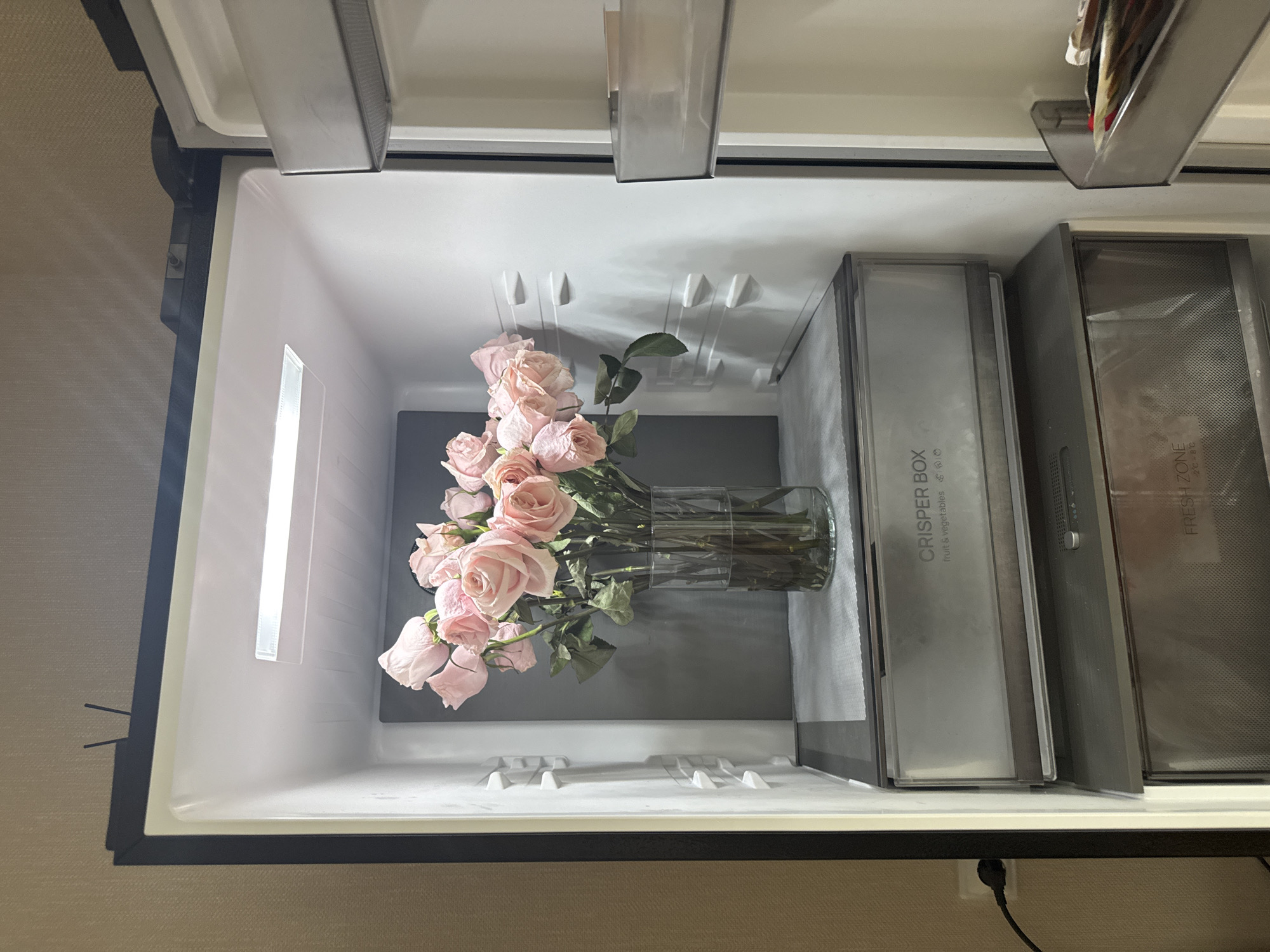 The image depicts the interior of a refrigerator, with a bouquet of light pink roses in a clear glass vase placed on a shelf. The refrigerator has a bright interior light and a crisper drawer labeled "CRISPER BOX fruit & vegetables". There are also other shelves visible. The exterior of the refrigerator appears to be black, and it is positioned against a textured beige wall. The scene is indoors, and no specific location in Perm, Russia, can be determined from the image. There are no people or actions depicted, only static objects.