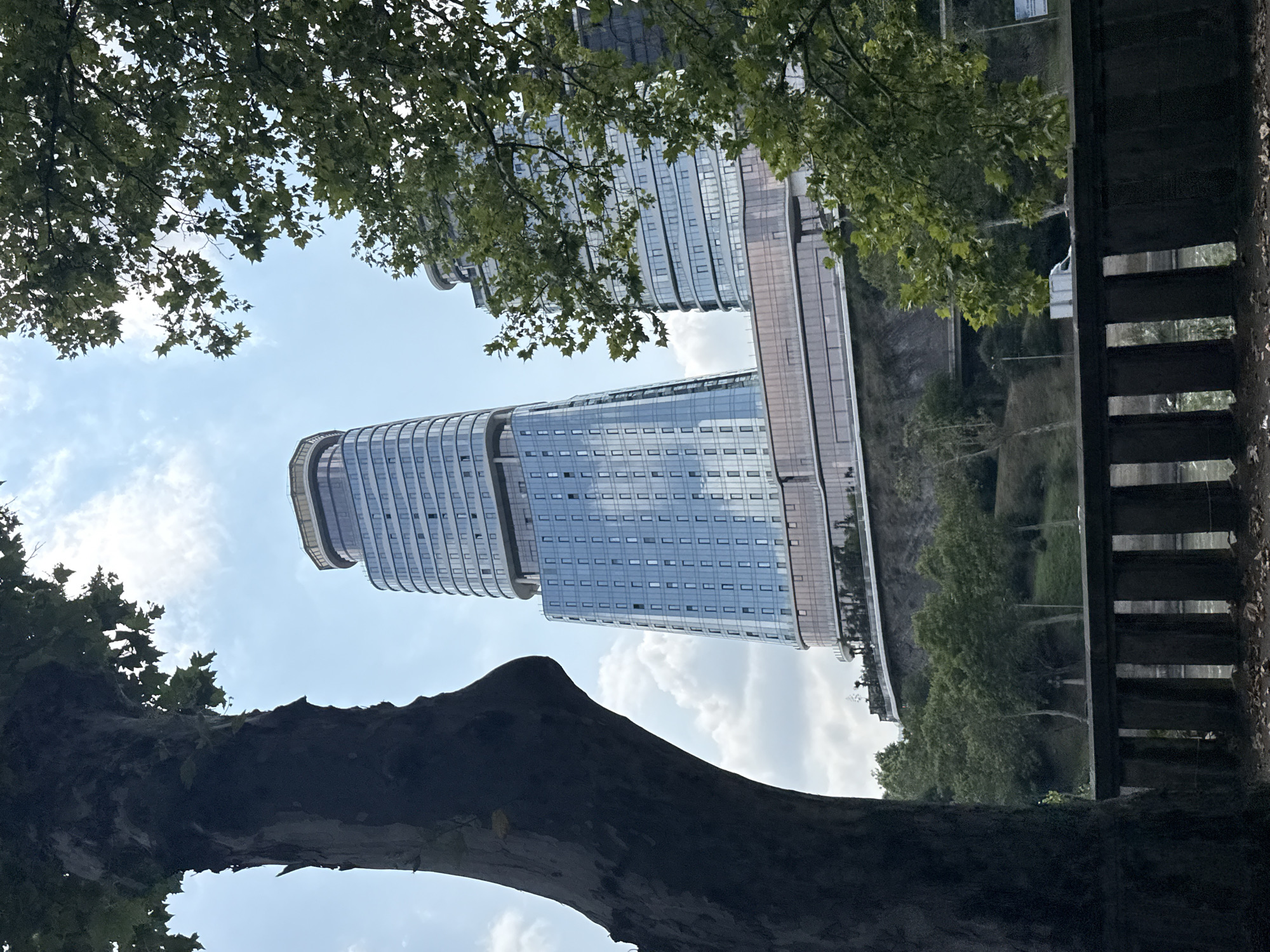 The image shows a view of the "Archtower" in Tbilisi, Georgia, from a park. In the foreground, the thick trunk of a large tree on the left and green foliage on the right frame the view. A low stone fence runs along the bottom of the image, separating the viewer from a body of water and a grassy slope.
Dominating the background are two modern, glass-covered skyscrapers. The "Archtower," a tall, slender building with a rounded top, is on the left. To its right is a shorter, wider building with a curved facade. Both structures rise from a raised platform that is surrounded by greenery. The sky above is partly cloudy and bright. The scene suggests a public park area in an urban setting, with a focus on the juxtaposition of natural elements and modern architecture.