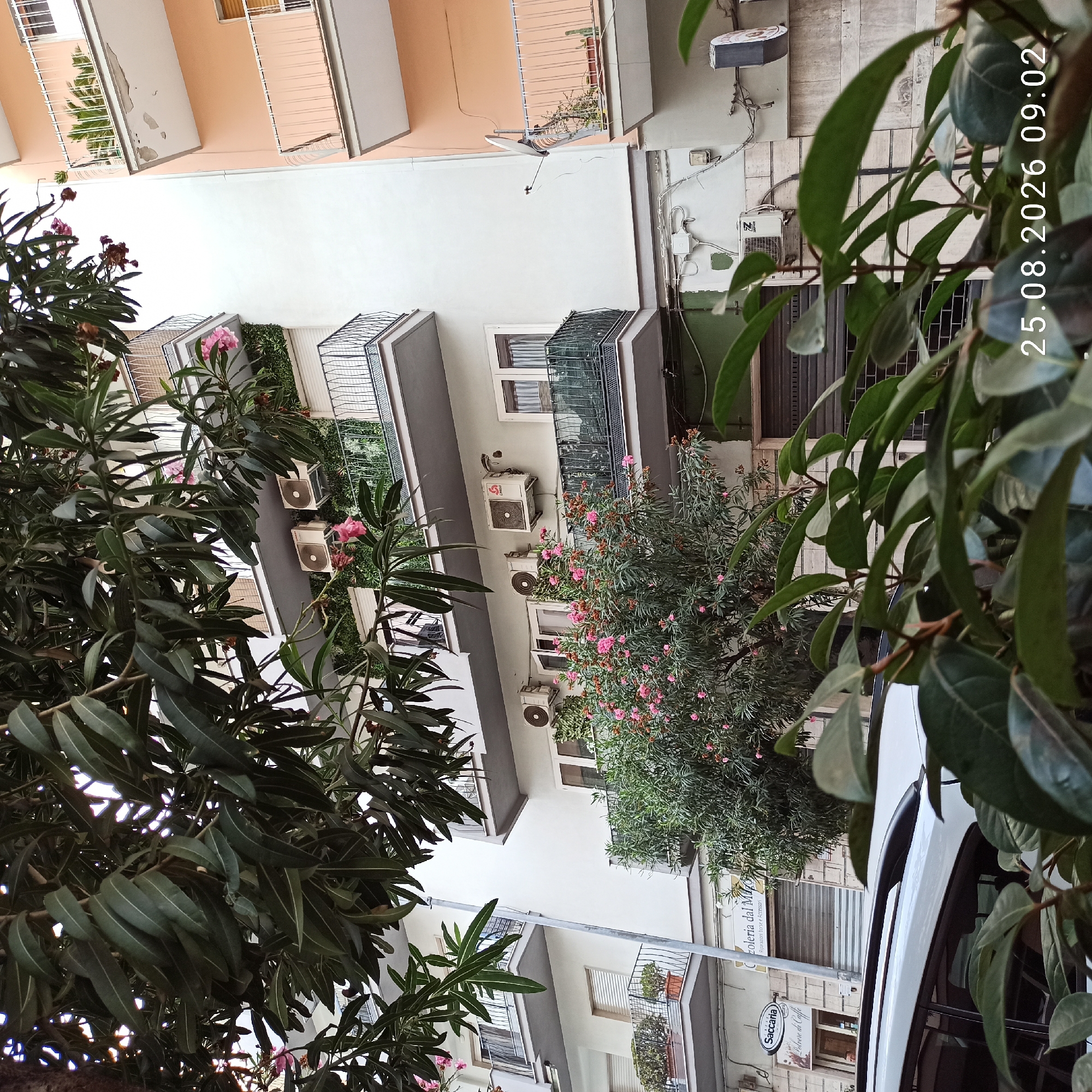 The image depicts a building with multiple balconies and air conditioning units, viewed through the foliage of a tree. The building is located in Bari, Italy. On the left side of the image, there is a storefront with signs, one of which reads "Saccaria Polvere di Caffè". Further to the right, another storefront has a sign that appears to say "Gioielleria dal Ma...". Several balconies are visible, some with plants and railings. Two air conditioning units are mounted on the exterior wall of the building. A white car is partially visible in the foreground, with its roof rack and windows reflecting the surroundings. The time stamp "25.08.2026 09:02" is visible in the bottom right corner of the image.