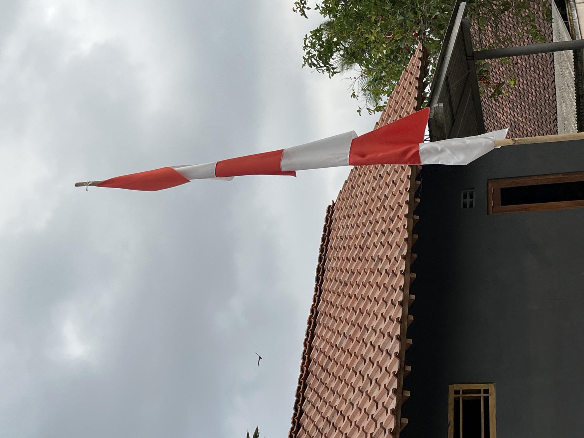 In Kemangguhan, Indonesia, an Indonesian flag, composed of red and white horizontal stripes, stands tall on a bamboo pole. The flag is partially unfurled, its fabric rippling slightly against a backdrop of an overcast sky. The flag is positioned in front of a building with a dark gray facade and a terracotta-tiled roof. To the left of the flag, a window with a wooden frame is visible on the building's wall. To the right, lush green foliage from a tree with red fruits can be seen peeking from behind the roofline. Further in the distance, another building with a similar tiled roof is visible. A small bird is captured in flight in the sky, to the left of the flag.