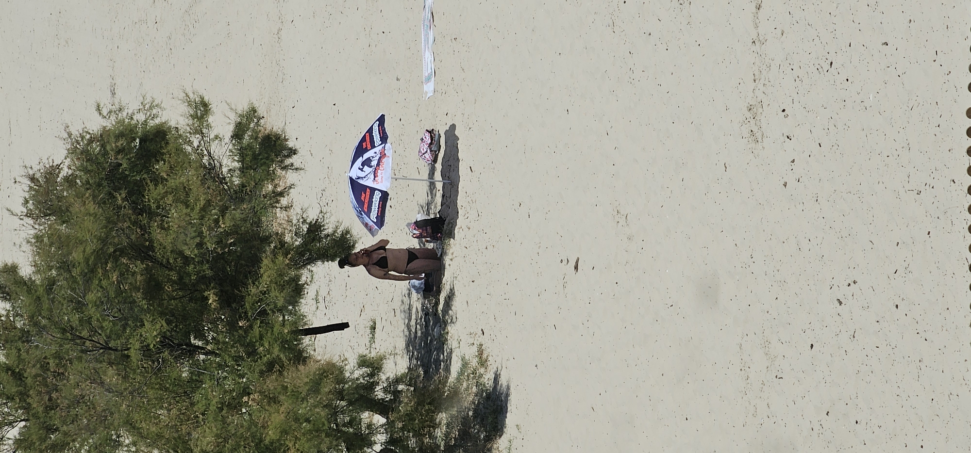 An overhead view captures a sunlit sandy beach, likely from a drone perspective. The scene is dominated by a single person, a woman in a dark (presumably black) bikini, positioned slightly right of the center. She is kneeling on the sand, facing towards the upper part of the frame, with her right arm raised near her head.
To her right, a beach umbrella is pitched into the sand, featuring blue, white, and red sections with visible text. The text on the umbrella clearly reads "BAT BROTHERS," "THE PERFECT SURF EXPERIENCE," and "LE CHOIX DES PROS" (French for "The choice of professionals"), accompanied by a bat-like graphic. Near the umbrella, several personal items, possibly bags or clothing, are visible on the sand. Further up the beach, a white towel or piece of fabric is spread out.
A dense green bush or tree, casting a prominent shadow, occupies the left side of the frame. The beach itself is vast and sandy, with scattered small debris. The bright illumination and distinct shadows suggest a sunny day. The activity depicts the woman relaxing or pausing on the beach. The location context indicates this scene is in Algeciras, Spain.