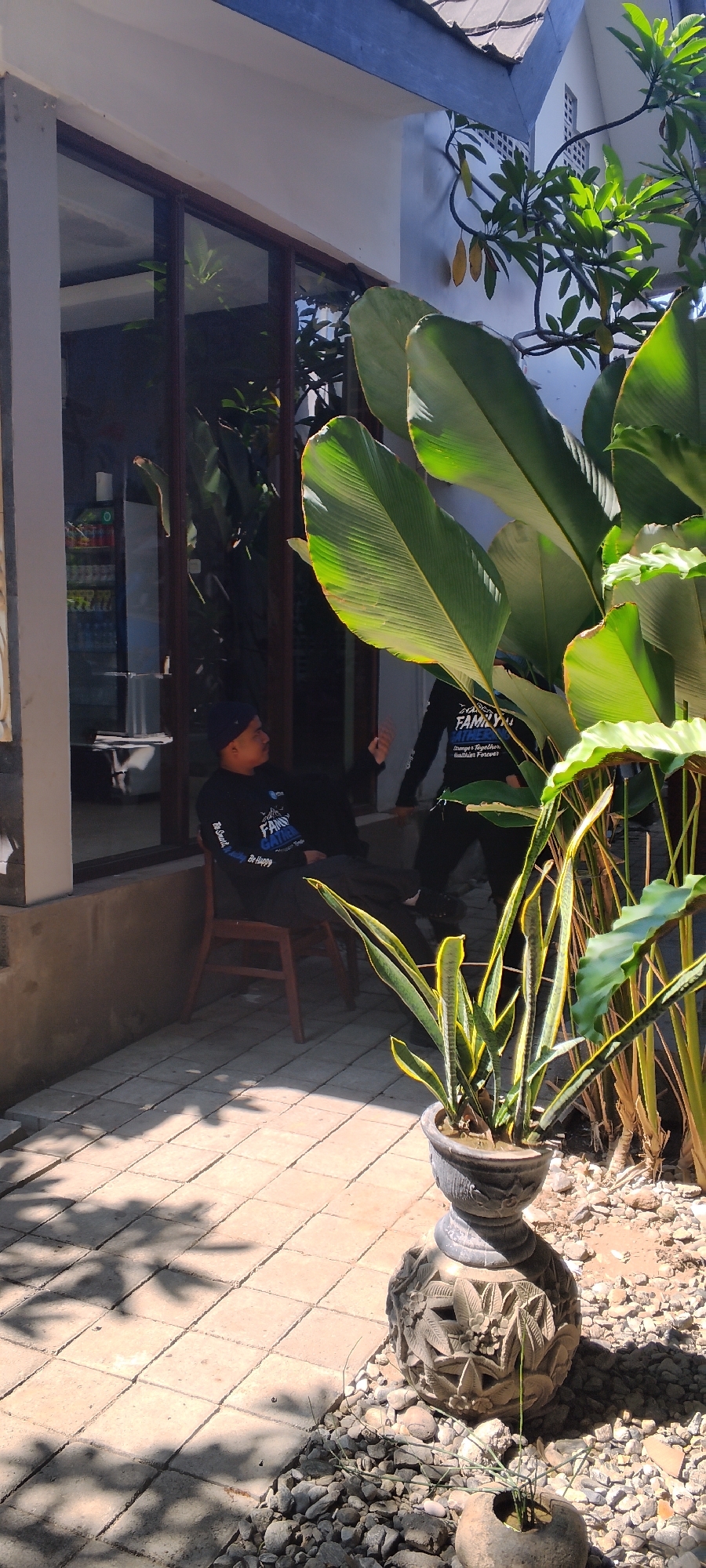 The image depicts an outdoor scene in Talise, Indonesia, characterized by warm sunlight and shadows cast by foliage. In the foreground, a snake plant is potted in a decorative stone urn, surrounded by small gray pebbles. The background shows a tiled patio leading to an area with large green leaves, likely from a tropical plant. A man wearing a black long-sleeved shirt and a blue beanie is seated on a wooden chair near a glass-paned building, with his back partially to the camera. He appears to be looking to his right, towards another person whose figure is partially visible and obscured by the large leaves. This second person, also wearing a black long-sleeved shirt with writing on it, is standing and gesturing with their right hand. Inside the building, through the glass, a refrigerator with visible products and a counter are discernible. The architecture suggests a residential or commercial establishment, with a white wall and a blue-trimmed roofline visible.