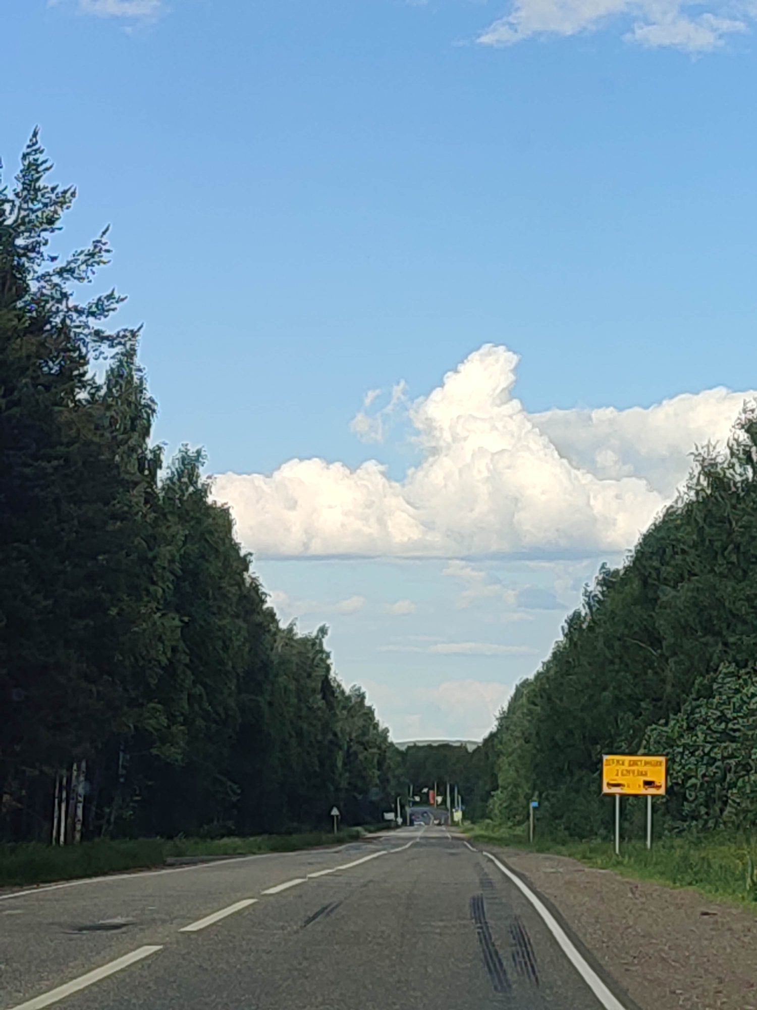 An eye-level, medium shot captures a paved road flanked by dense green trees on either side, receding into the distance under a bright blue sky dotted with white clouds. The road has a broken white line marking its center and tire tracks on the right side. On the right side of the road, a yellow rectangular sign with black lettering and symbols is visible. The trees on the left are darker and appear to have some dead trees interspersed within them, while the trees on the right are greener and fuller. The overall impression is that of a rural or undeveloped area.