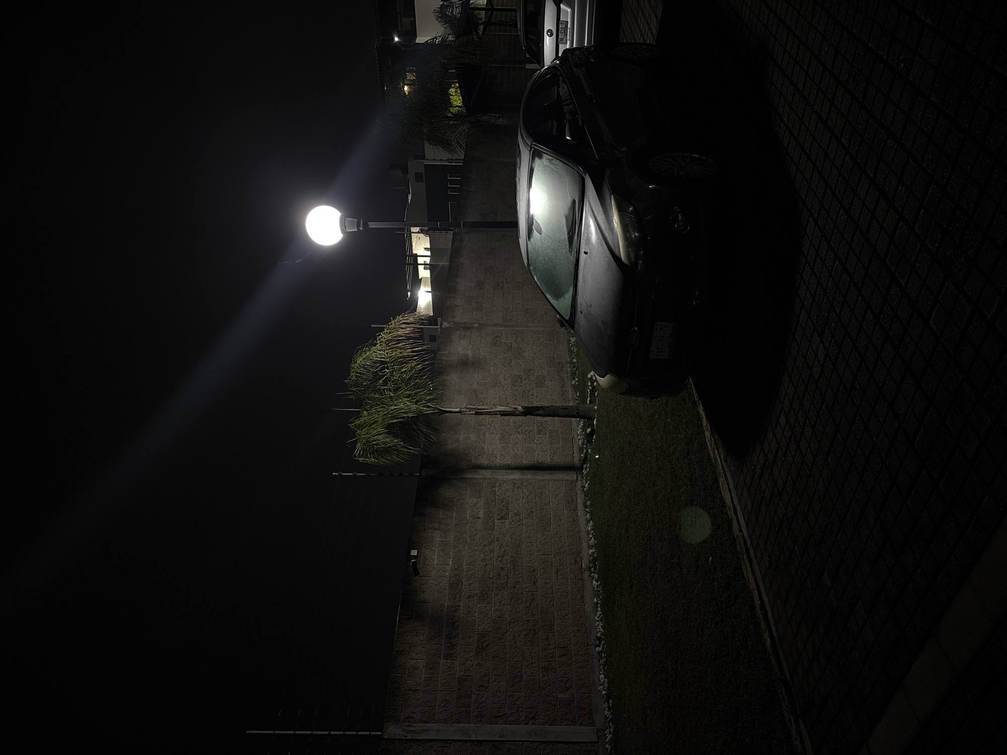 At night in Ocotlán, Mexico, a black car is parked next to a brick wall and a small palm tree, illuminated by a street lamp. Another car is partially visible in the background. The ground is a mix of brick paving, grass, and stone. The scene is dimly lit.