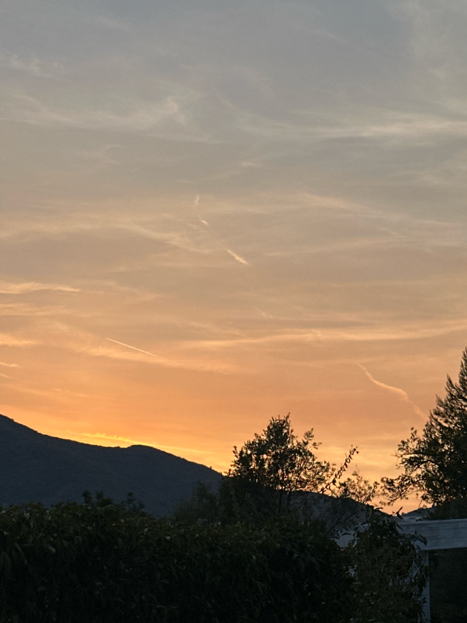 The image depicts a sunset over a mountainous landscape near Budva, Montenegro. The sky is a gradient of soft blues and warm oranges, with thin, wispy clouds. Several contrails from aircraft are visible, streaking across the sky. In the foreground, silhouetted against the vibrant sunset, are the dark shapes of trees and bushes. A dark, mountainous ridge forms the backdrop, with its peak outlined by the bright sky. To the right, the tops of evergreen trees are visible, and a portion of a light-colored structure, possibly a building, can be seen peeking through the foliage. The overall impression is one of a peaceful evening scene.