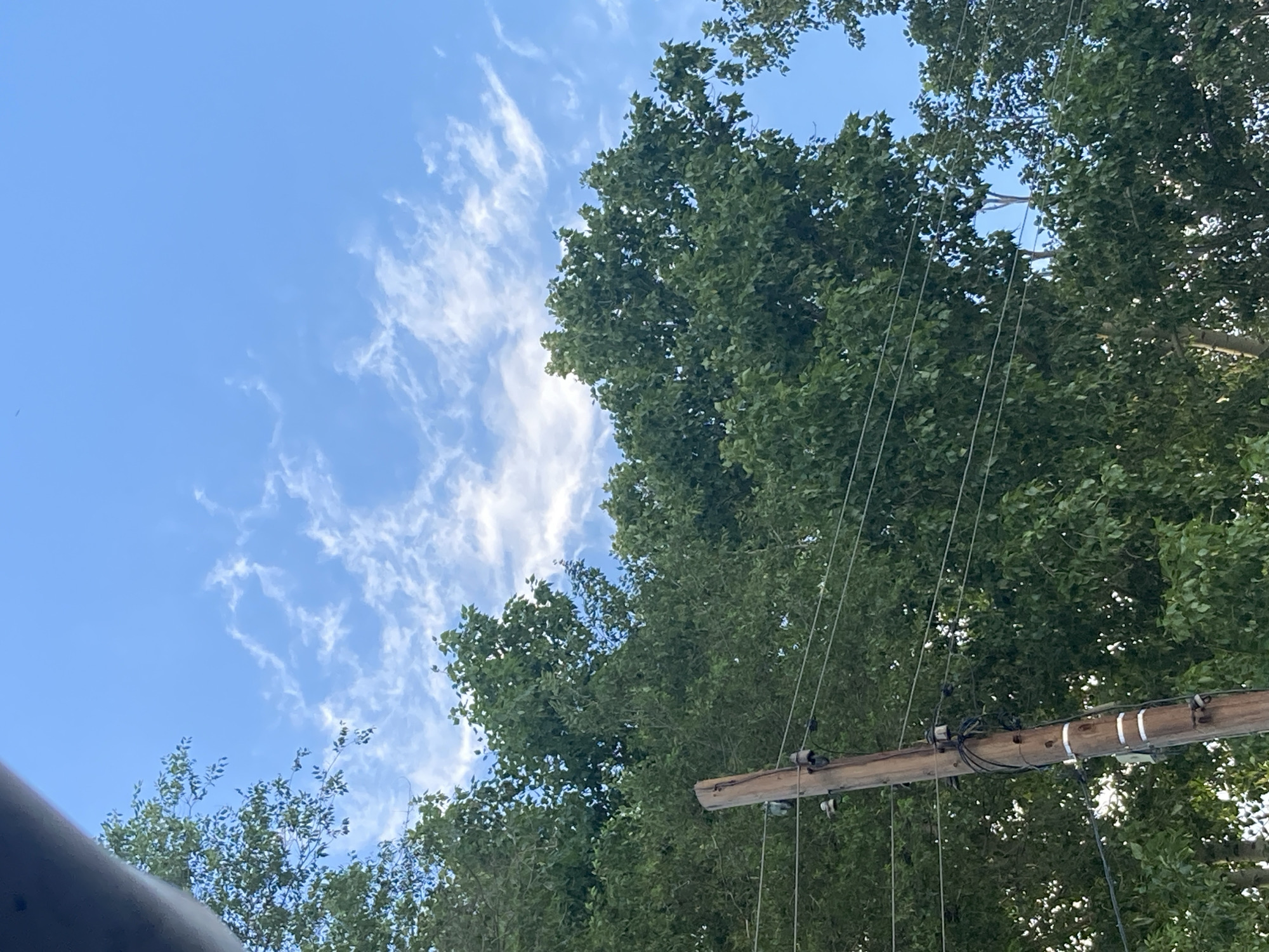 The image shows a view looking upwards towards a blue sky with wispy white clouds. Large green trees dominate the right and bottom portions of the frame, their leaves creating a dense canopy. A wooden utility pole with wires is visible running horizontally across the middle of the image, with insulators and electrical components attached. The wires descend downwards. The lighting suggests it is daytime, likely mid-morning or afternoon, with bright sunlight filtering through the trees. The scene appears to be outdoors, possibly in a suburban or rural area given the presence of both trees and utility infrastructure. There is no visible text in the image.