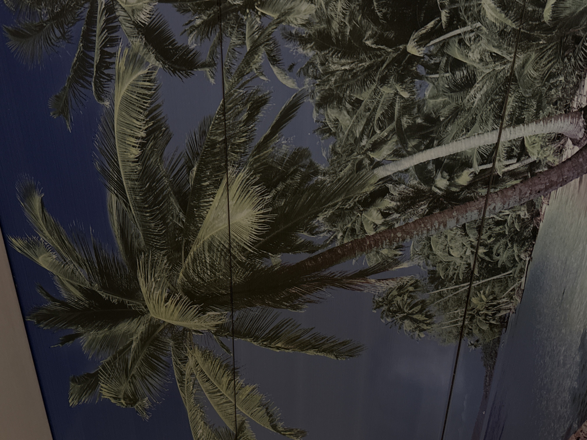 The image depicts a mural or wallpaper of a tropical scene featuring palm trees, a body of water, and a distant shoreline with foliage. The scene is dominated by the lush green fronds of numerous palm trees, some of which have visible trunks. The sky is a deep, dark blue. The water appears calm and reflects the muted tones of the surrounding environment. There are no people or animals visible in the image. The mural is installed on a wall, with a white ceiling visible in the upper left corner. There are also two thin, dark horizontal lines that appear to be wires or cables running across the mural. The scene is depicted in a realistic, yet somewhat stylized, manner. This mural is located in Obukhivka, Ukraine.