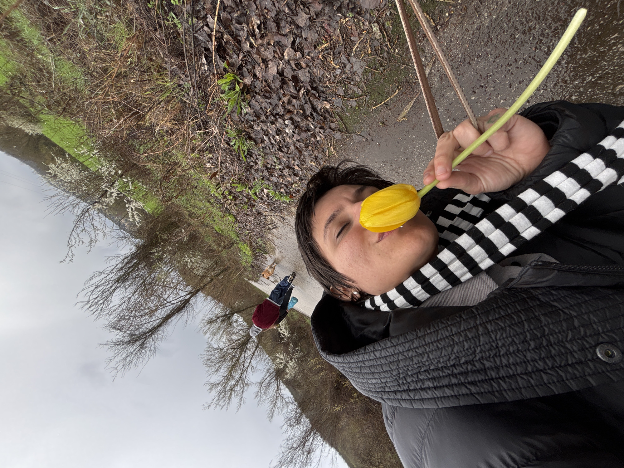 A woman holds a yellow tulip to her face, positioned vertically in the frame. She is wearing a black puffer jacket and a black and white striped scarf. The background shows a walking path, trees with bare branches, and patches of grass. A person and a dog are walking in the distance. The location is Unknown, Bulgaria.