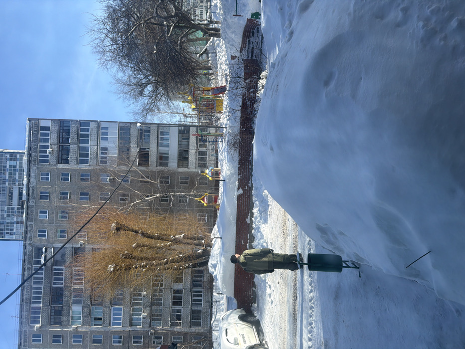 A winter scene shows a person in a green jacket pulling a green bin along a snowy sidewalk. To the left is a multi-story residential building with a tree in front. Across the street, behind a snow-covered barrier, a playground is visible. The sky is clear blue. A portion of a white vehicle is parked on the sidewalk.