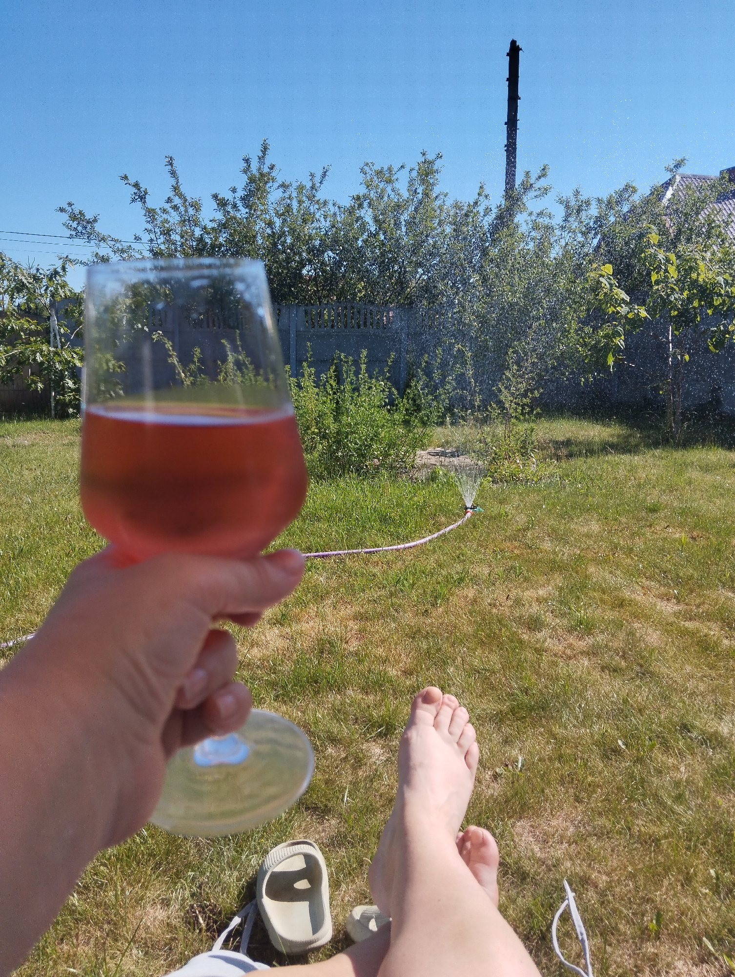 A first-person perspective shot shows a hand holding a wine glass filled with a pink beverage. The background is a sunlit backyard with green grass, a fence, trees, and a sprinkler watering the lawn. In the foreground, a person's bare feet are visible, resting on the grass. A pair of light-colored slides are near the feet. In the distance, a tall, dark industrial structure is visible against a clear blue sky. The scene appears to be in Svetly, Russia, given the context.