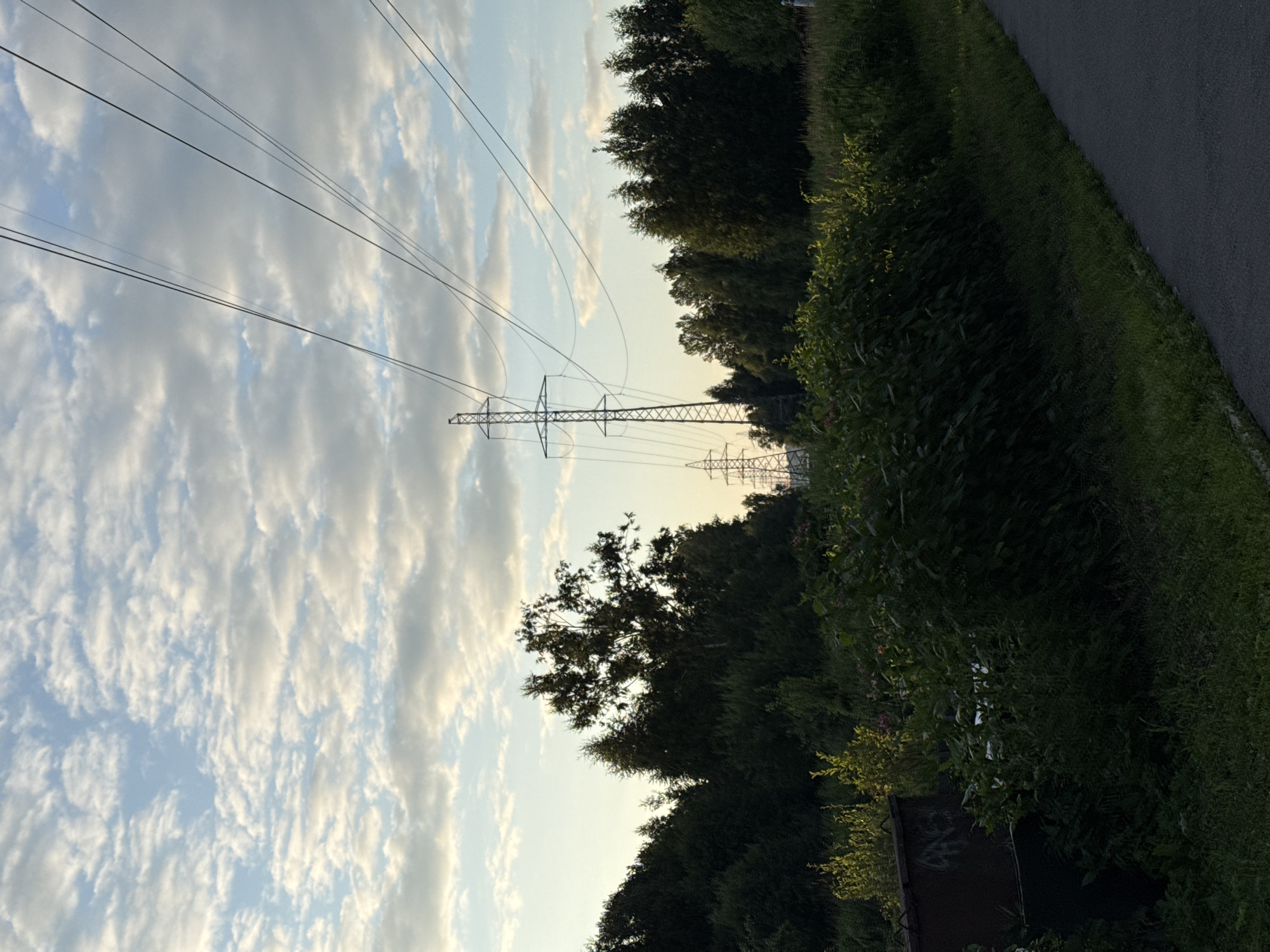 This image depicts a rural landscape in Pargolovo, Russia, characterized by a treeline, power lines, and a sky filled with scattered clouds. In the foreground, a paved path runs diagonally from the bottom right corner, bordered by green grass and dense foliage. A dark, metallic object, possibly a dumpster or industrial bin, is visible on the left side of the image, partially obscured by vegetation and bearing graffiti. Beyond the immediate foliage, a line of trees forms a dark green backdrop, with a tall, mature tree with visible branches standing out in the center. In the distance, several tall electricity pylons are strategically placed, connected by thick power lines that stretch across the frame. The sky above is a pale blue, punctuated by a pattern of white, fluffy clouds, suggesting a pleasant, overcast day. The lighting indicates it is either early morning or late afternoon, with a warm, diffused glow. No people or animals are present in the scene.